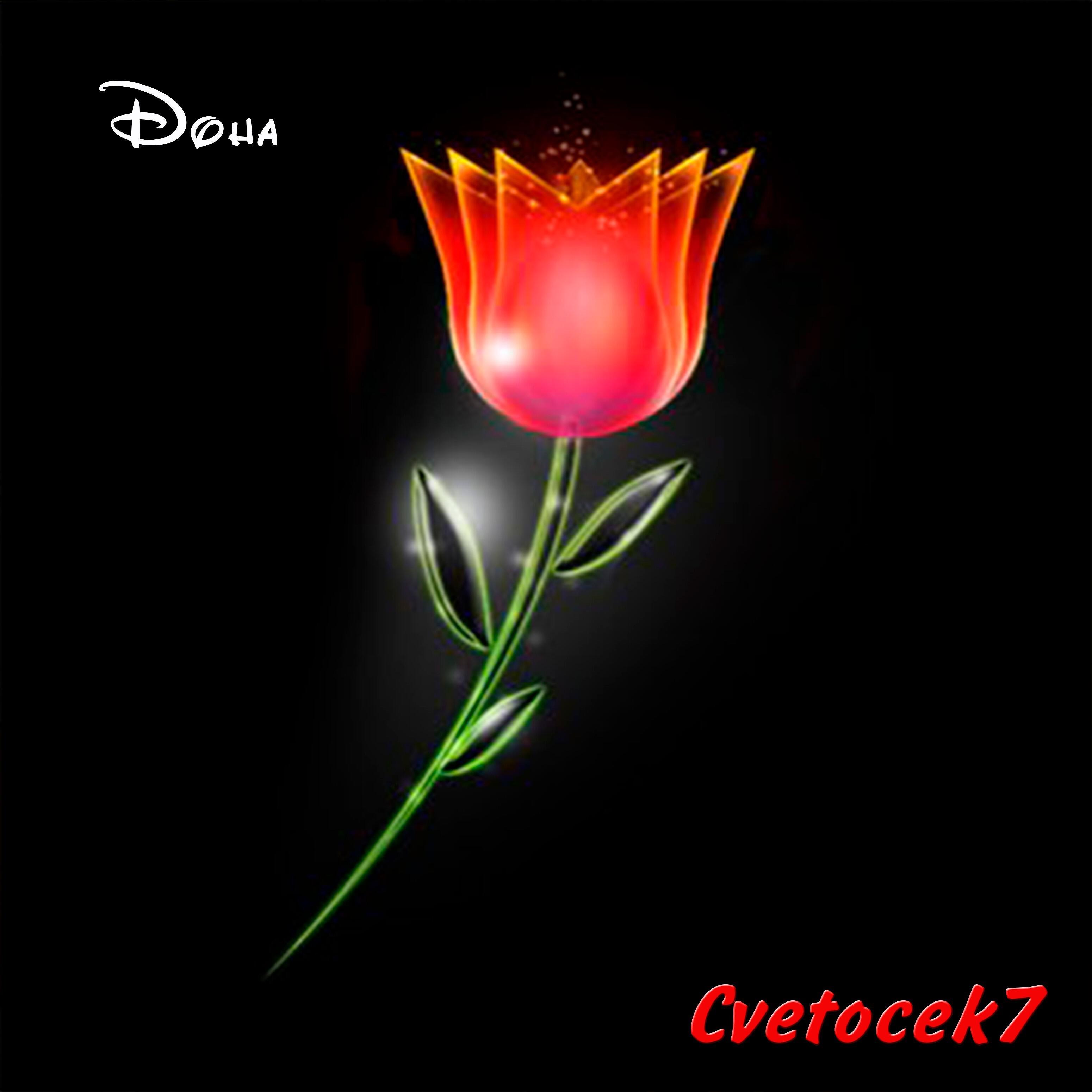 CVETOCEK7 - Эта ночь