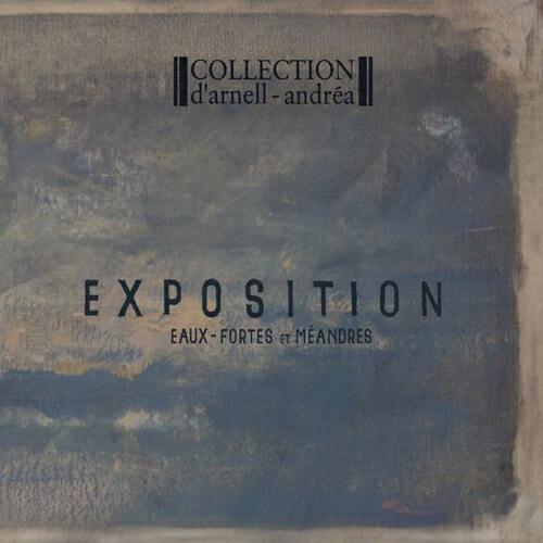 Collection d'Arnell-Andrea - I Can't See Your Face