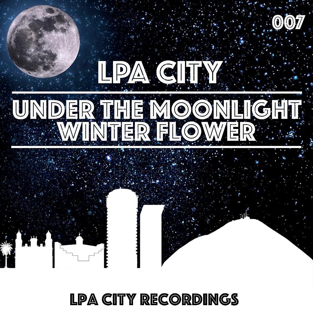 Постер альбома Under the Moonlight