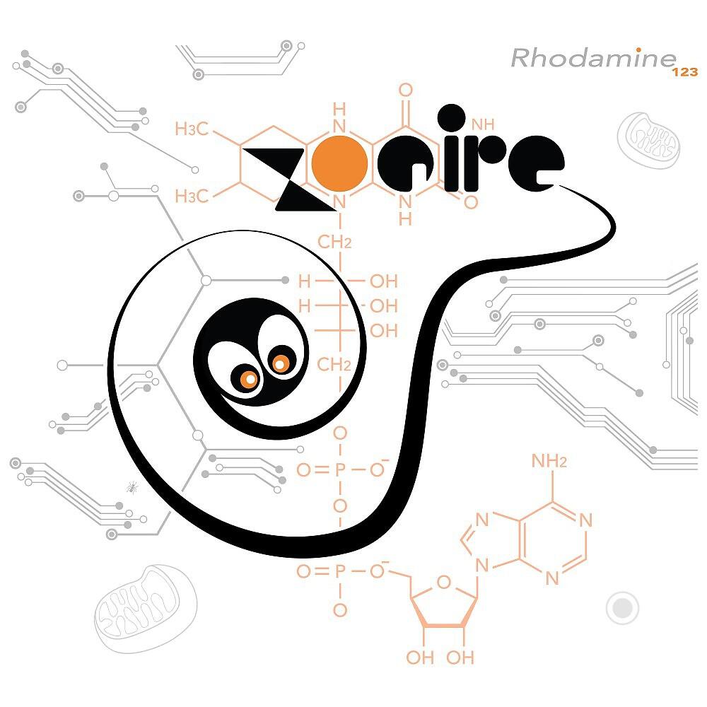 Zoaire - Membrane