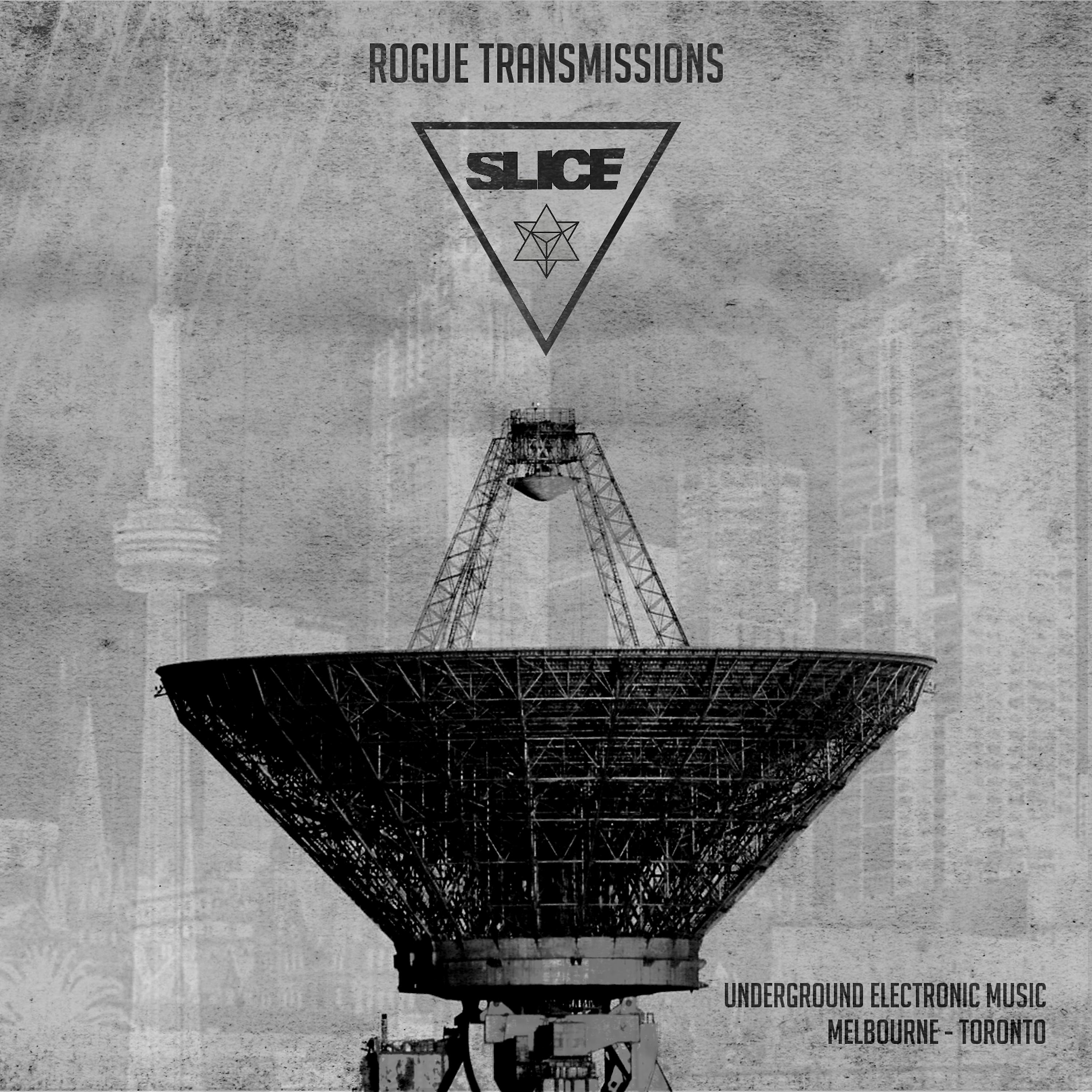 Постер альбома Rogue Transmissions