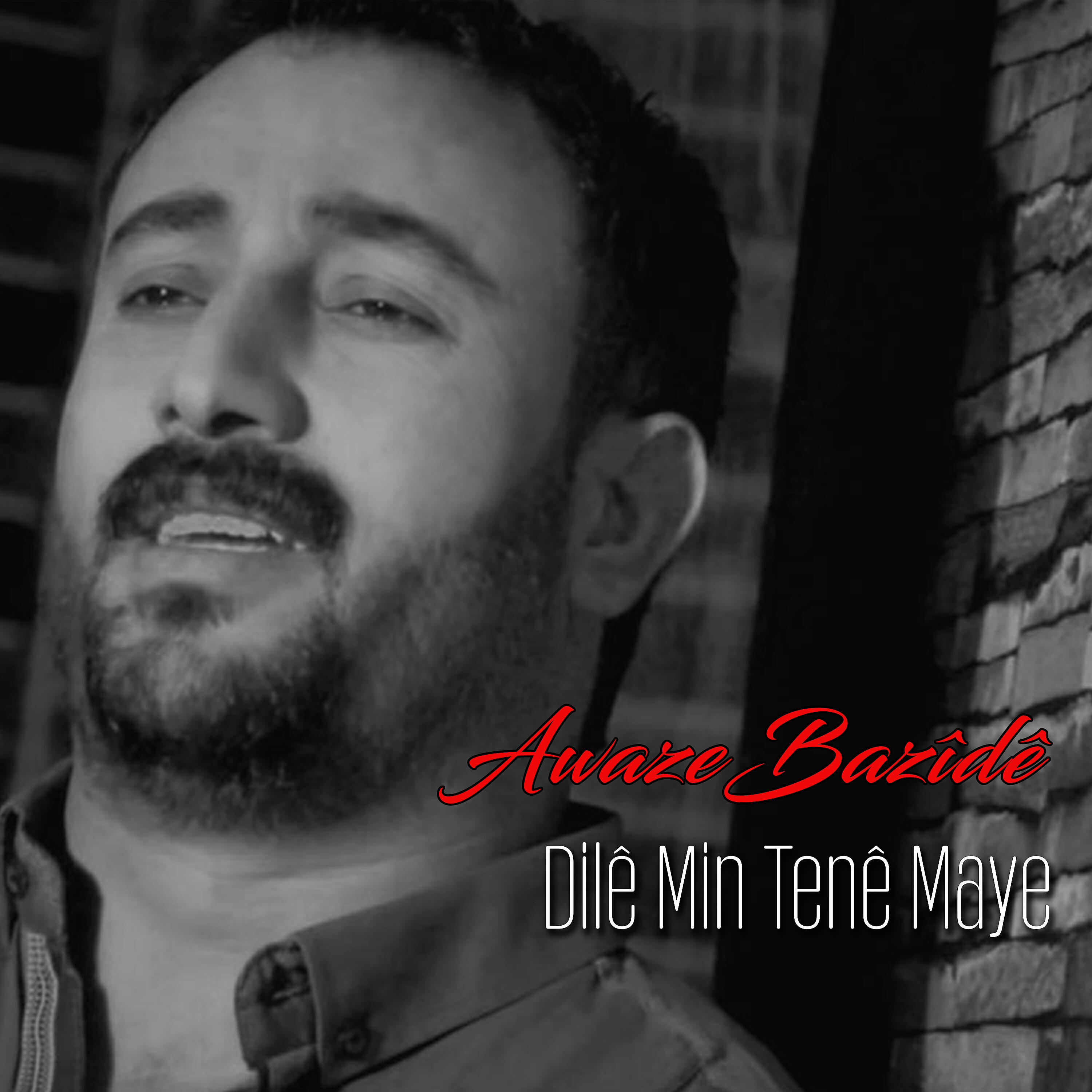 Awaze Bazîdê - Birîndarim / Ez Gulim