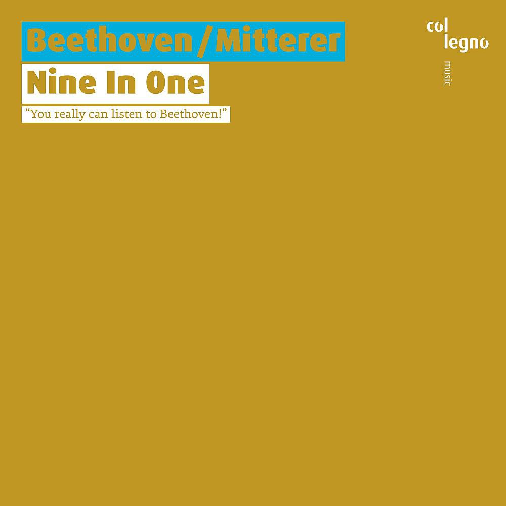 Постер альбома Beethoven / Mitterer: Nine In One