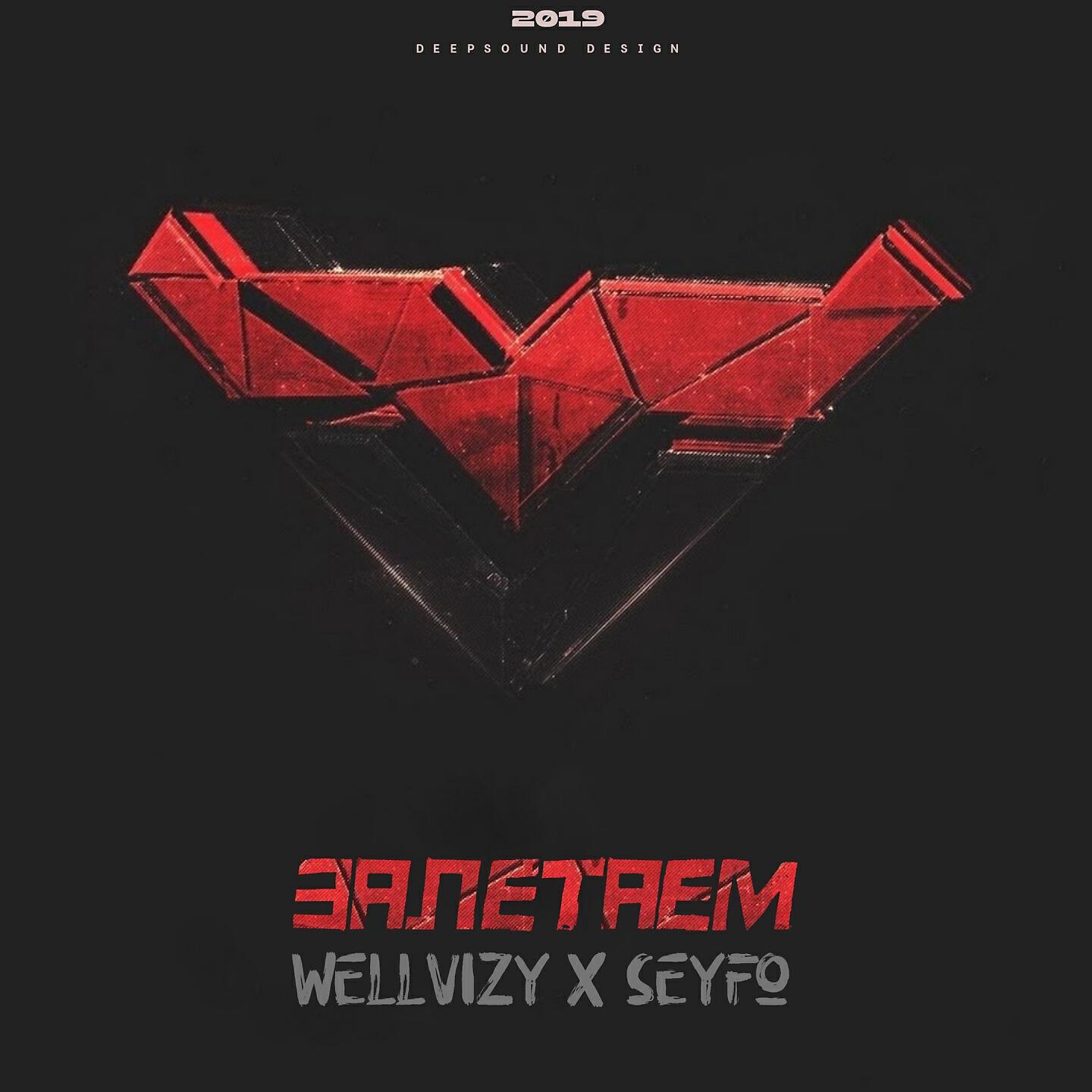 WELLVIZY - Залетаем