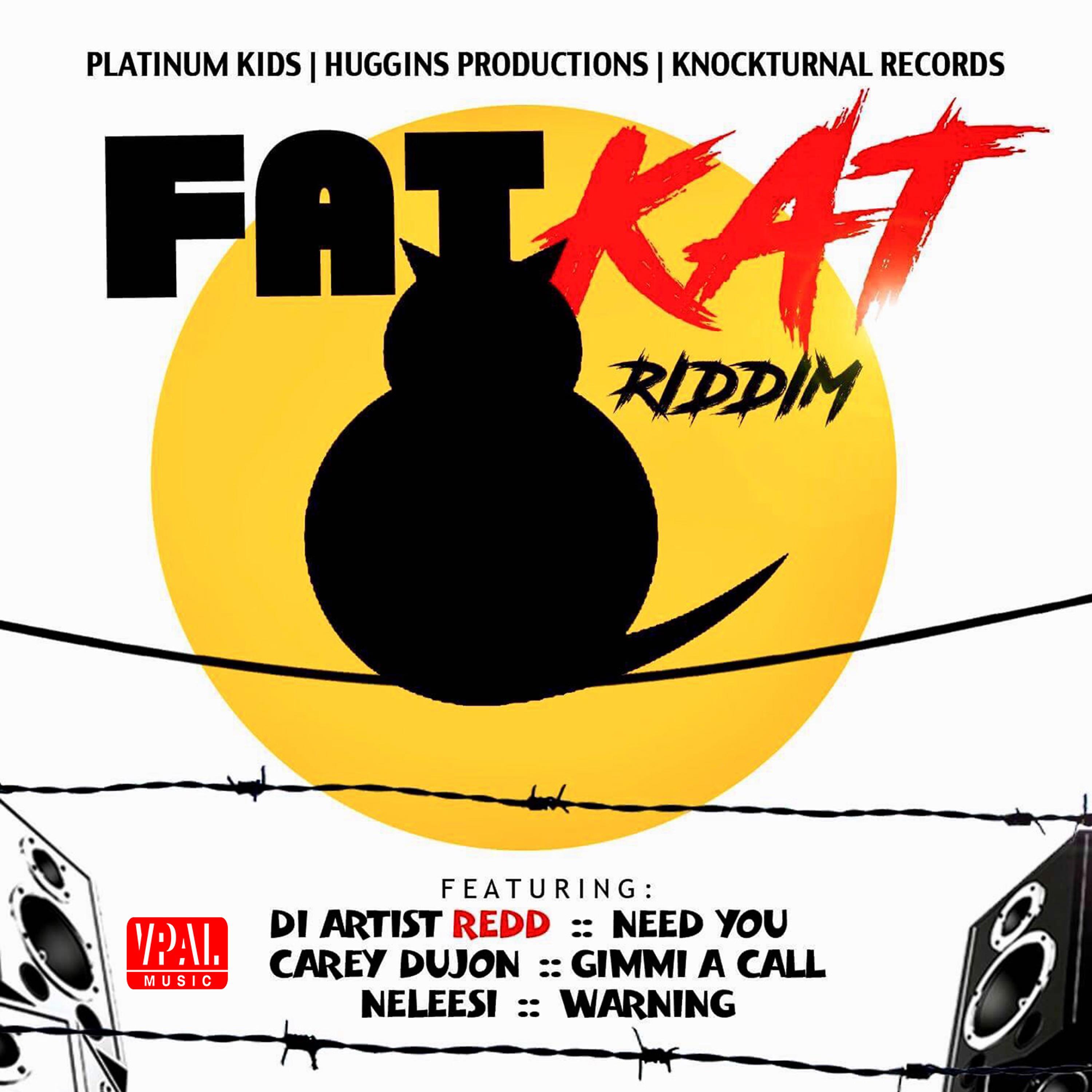 Постер альбома Fat Kat Riddim