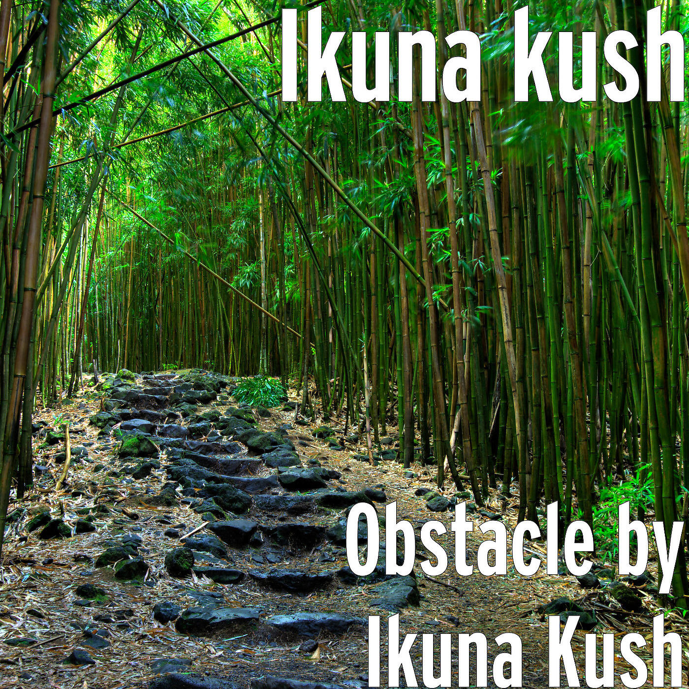 Ikuna kush - Obstacle by Ikuna Kush
