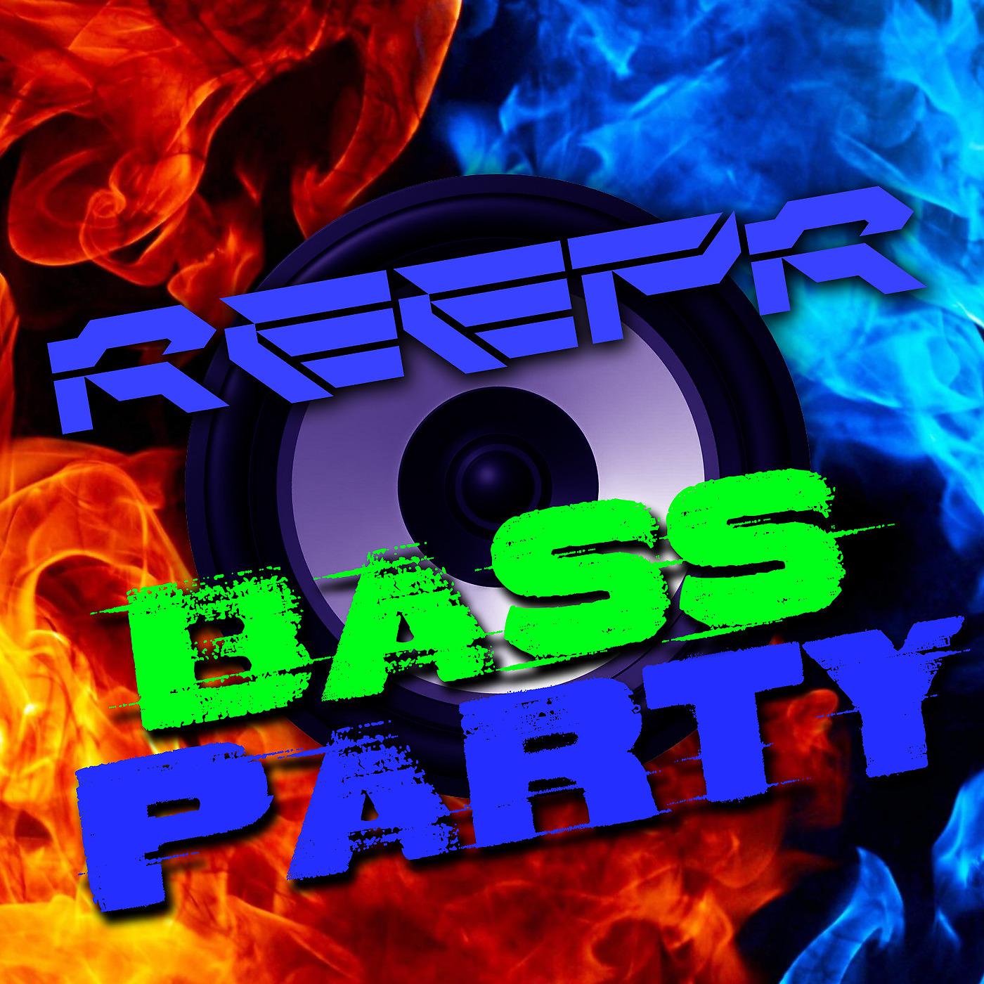 Постер альбома Bass Party