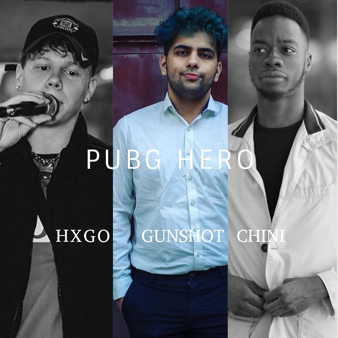 Постер альбома Pubg Hero