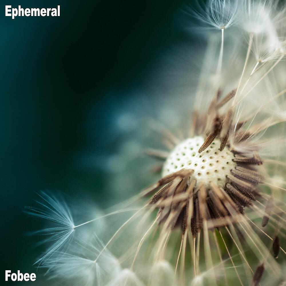 Fobee - Ephemeral