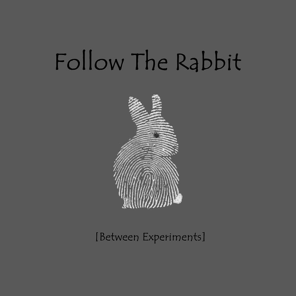 Between Experiments - Follow the Rabbit