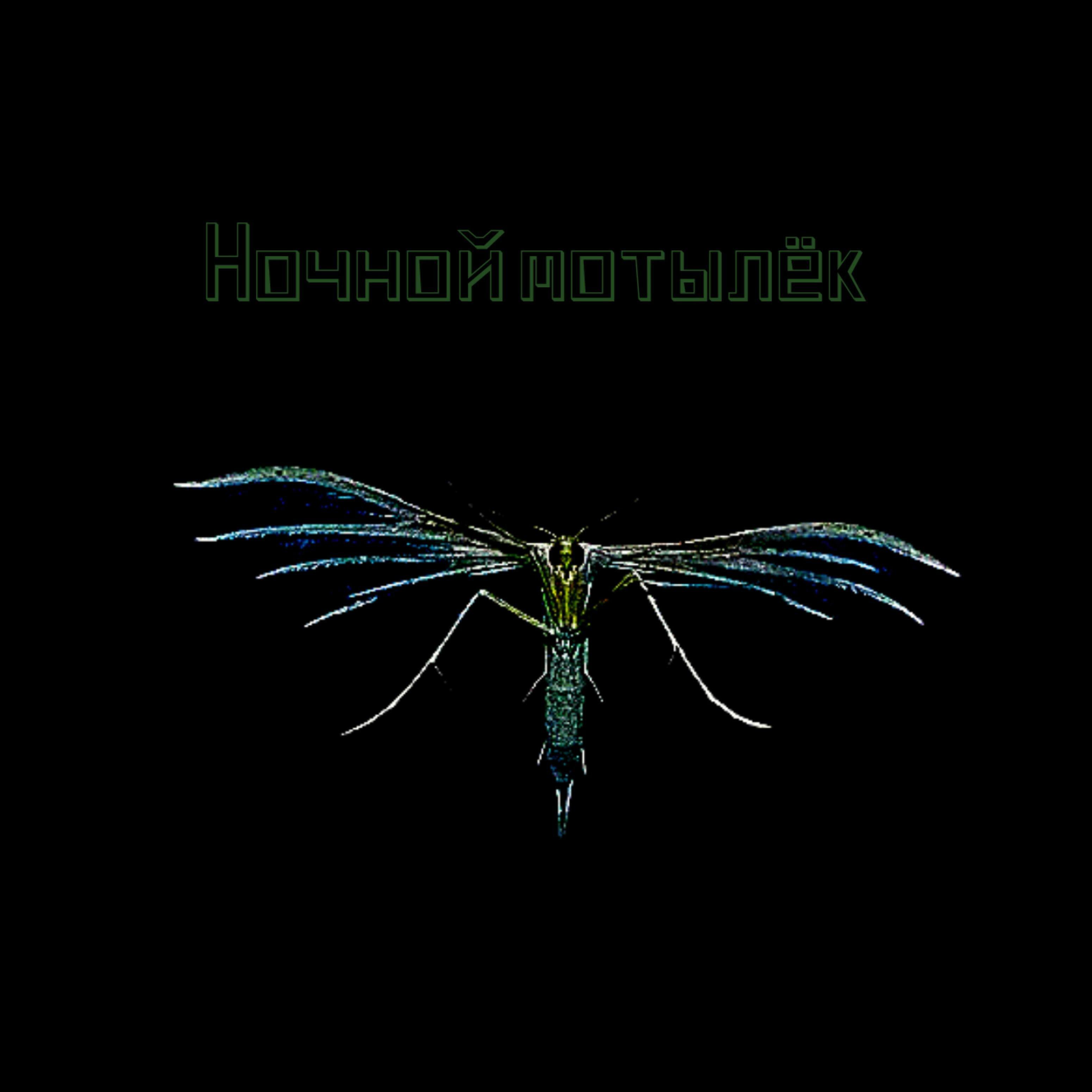 DaNiLa - Ночной мотылёк