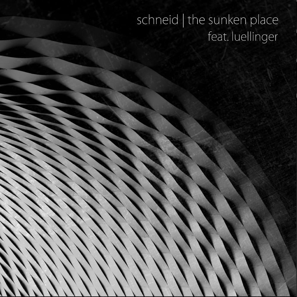 Постер альбома The Sunken Place