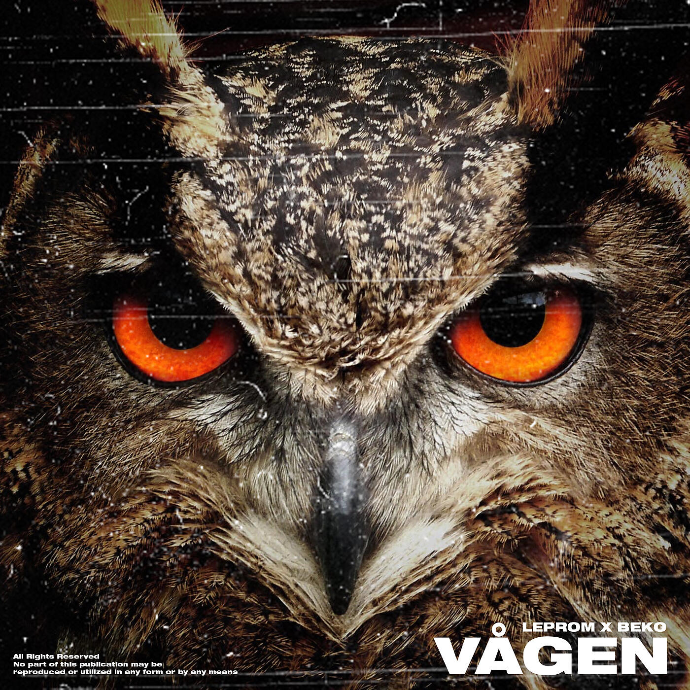 Beko - Vågen