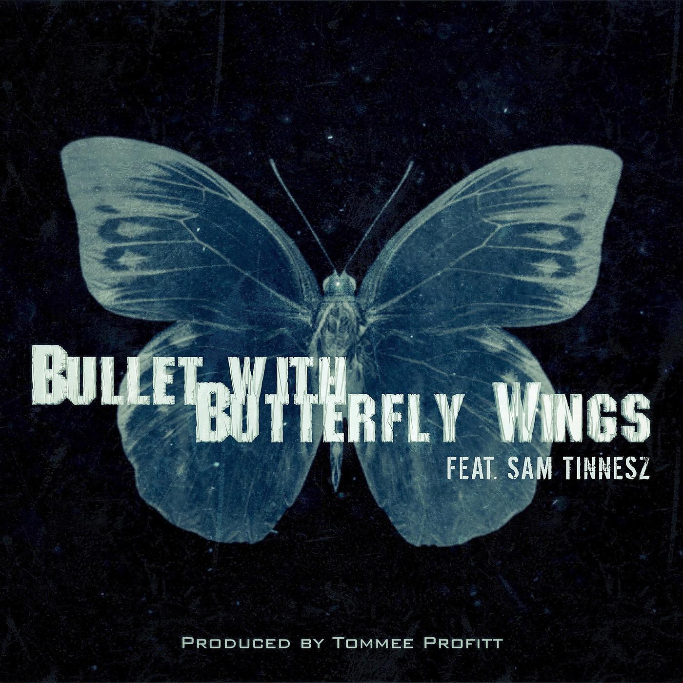 Постер альбома Bullet With Butterfly Wings
