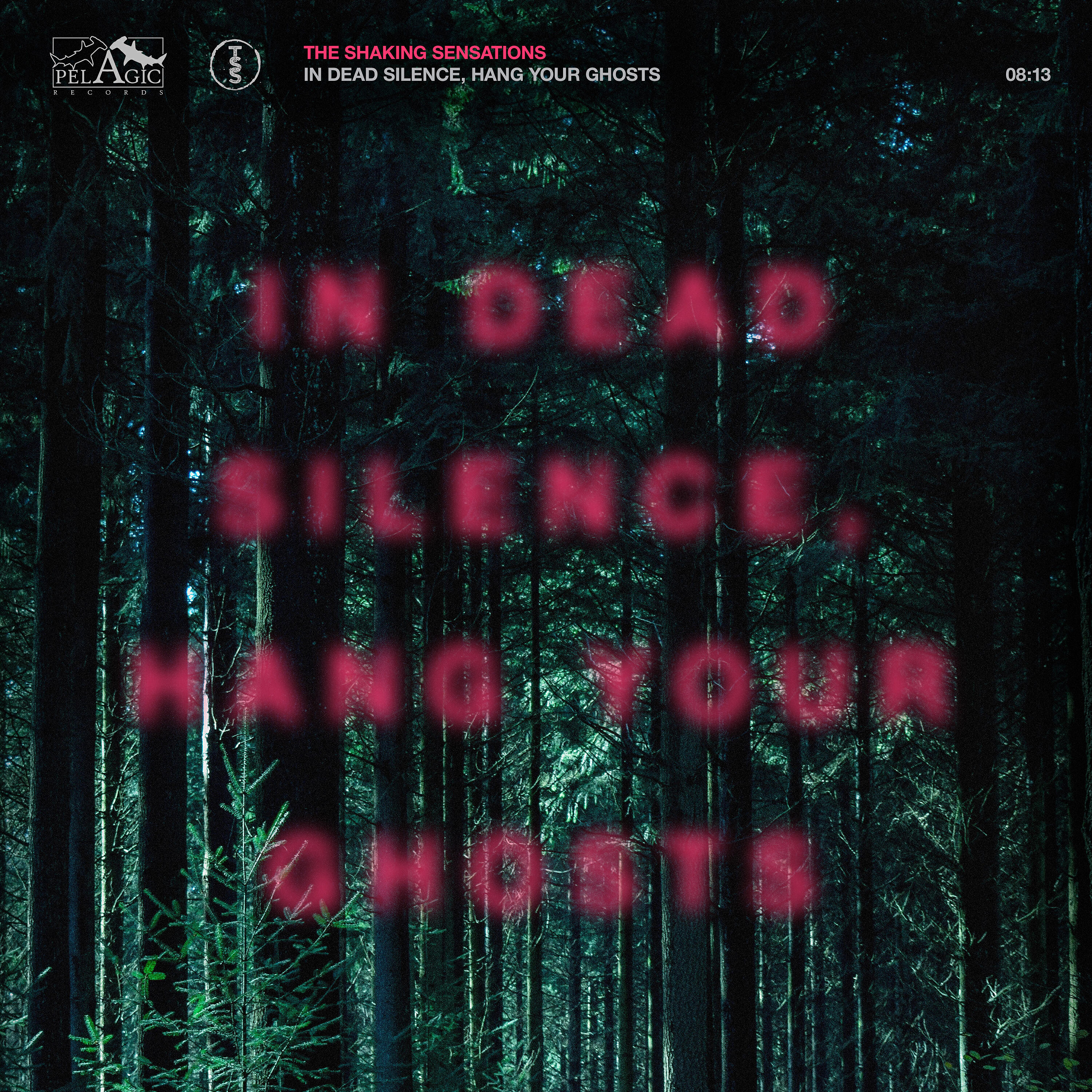 The Shaking Sensations - In Dead Silence, Hang Your Ghosts