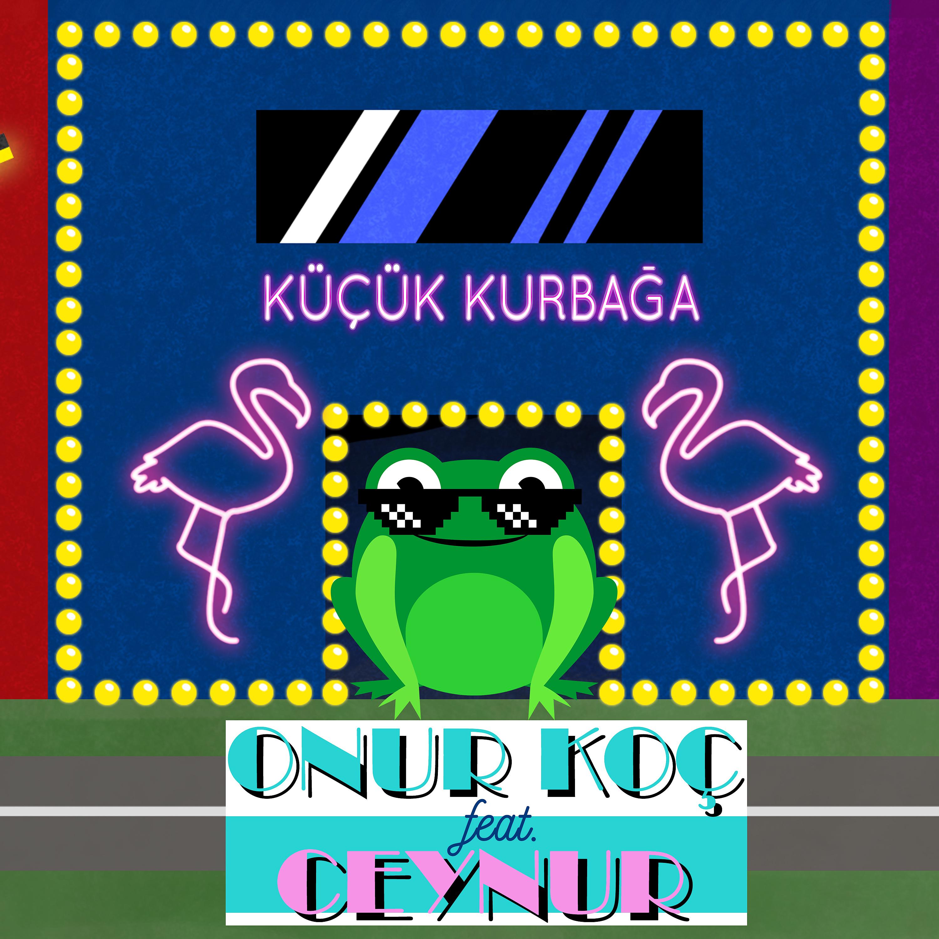 Постер альбома Küçük Kurbağa