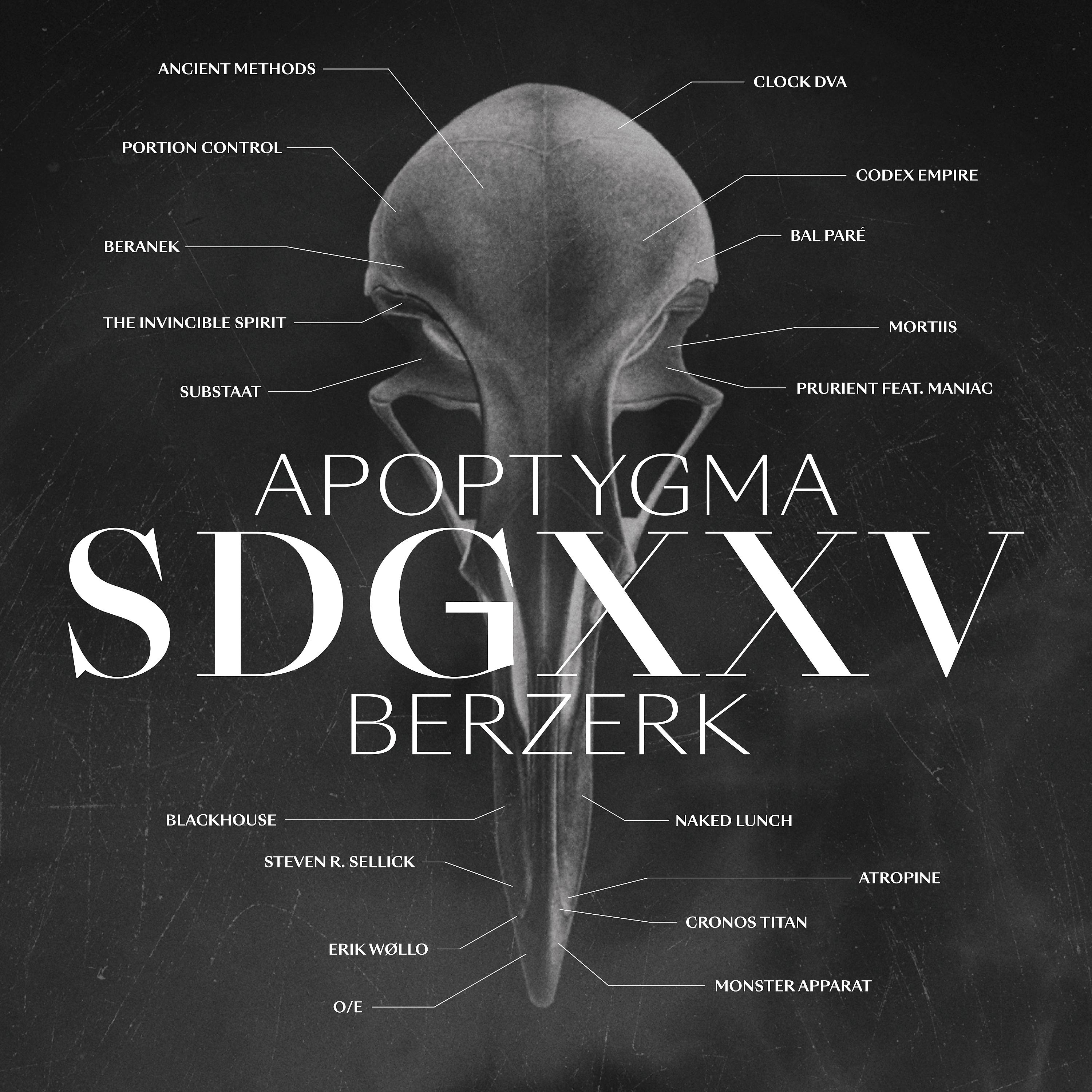 Постер альбома SDGXXV