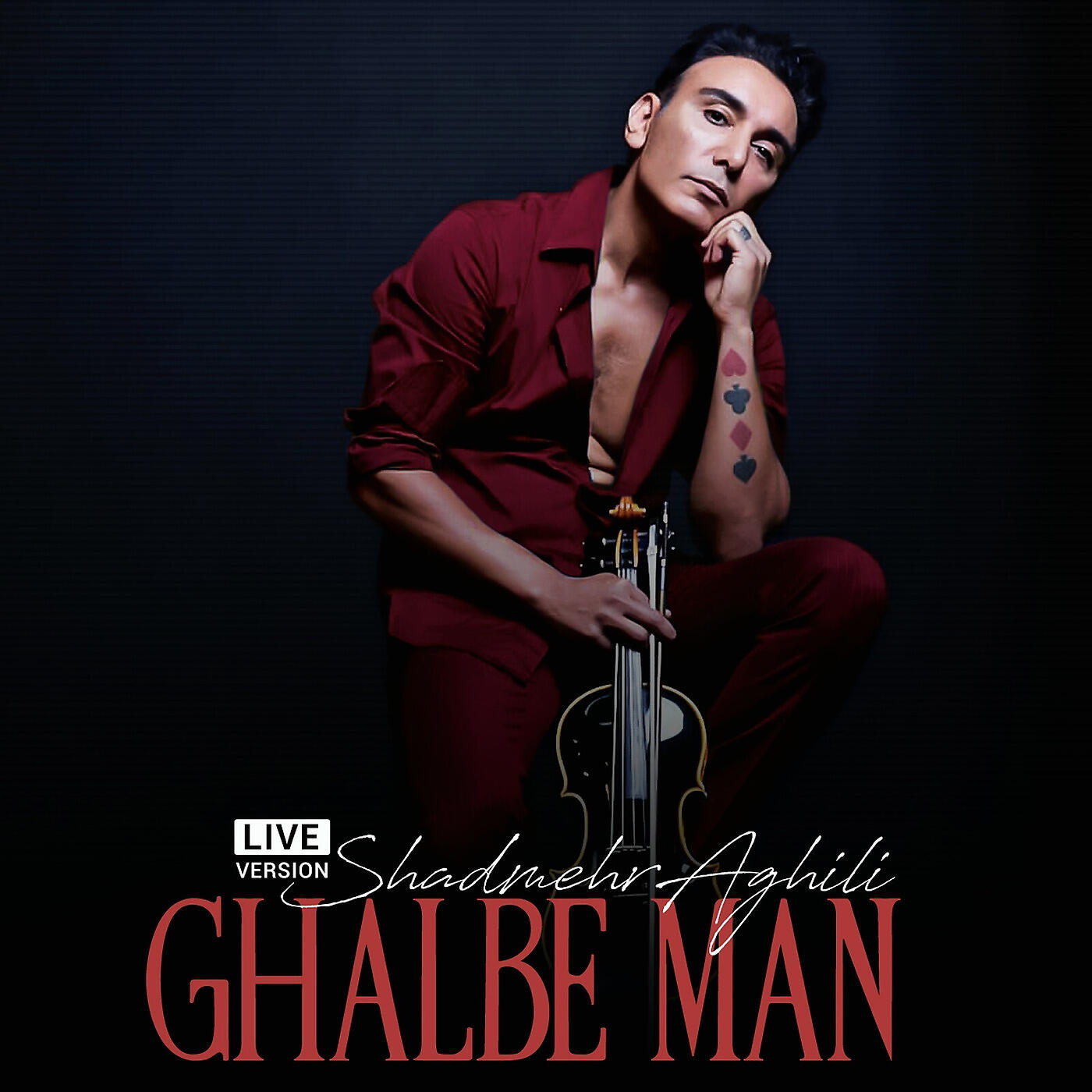 Shadmehr Aghili - Ghalbe Man (Live Version)