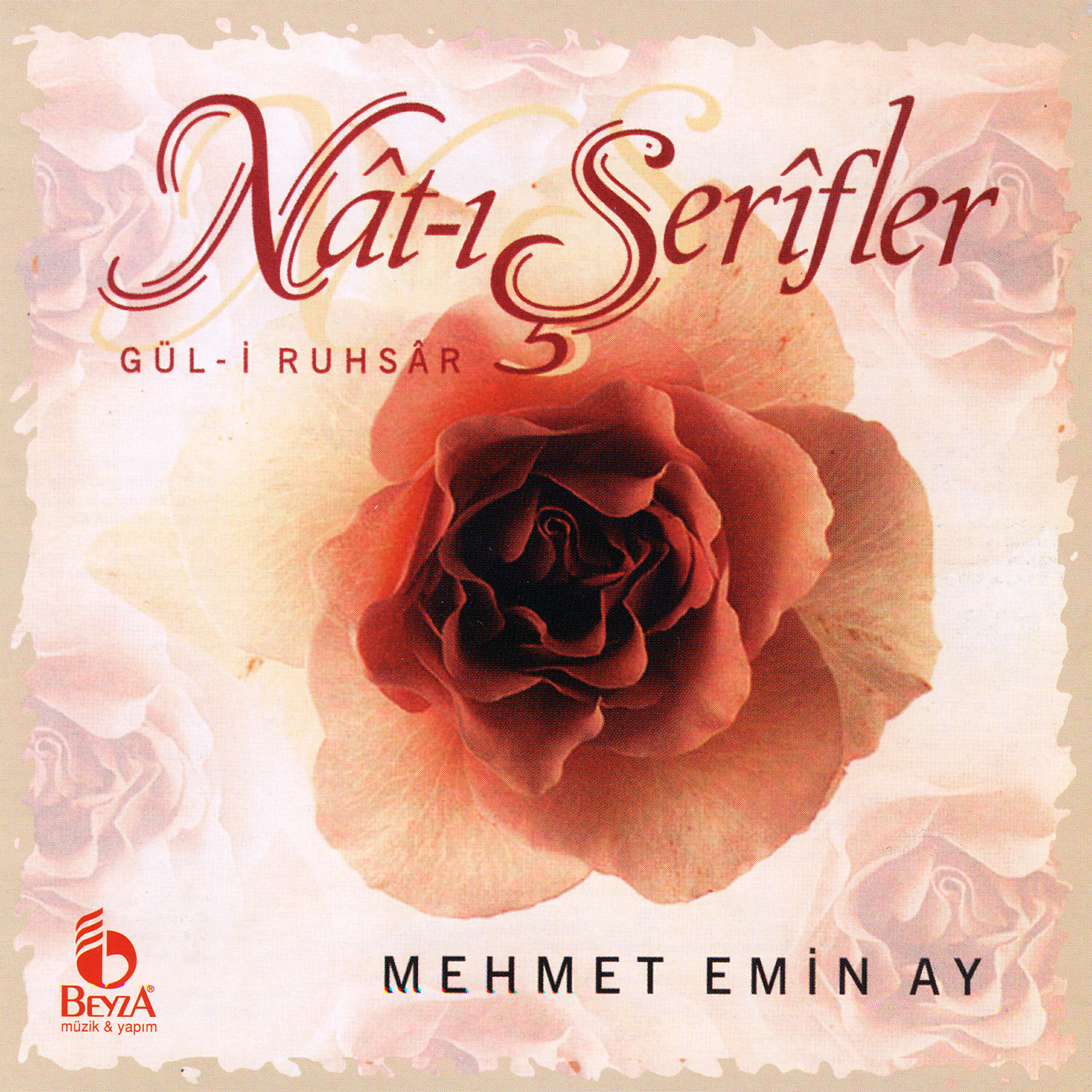 Mehmet Emin Ay - O Gece Sendin Gelen