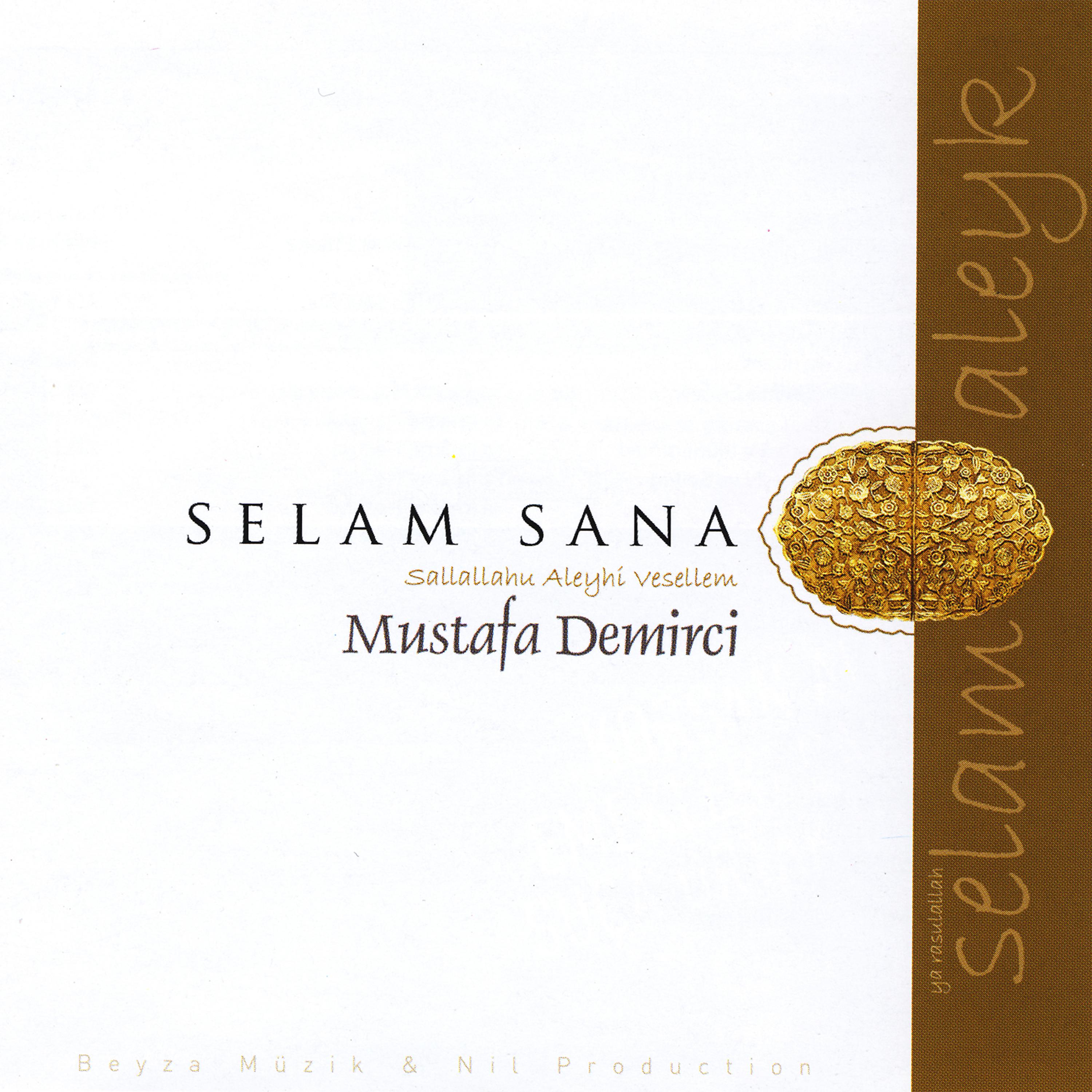 Постер альбома Selam Sana