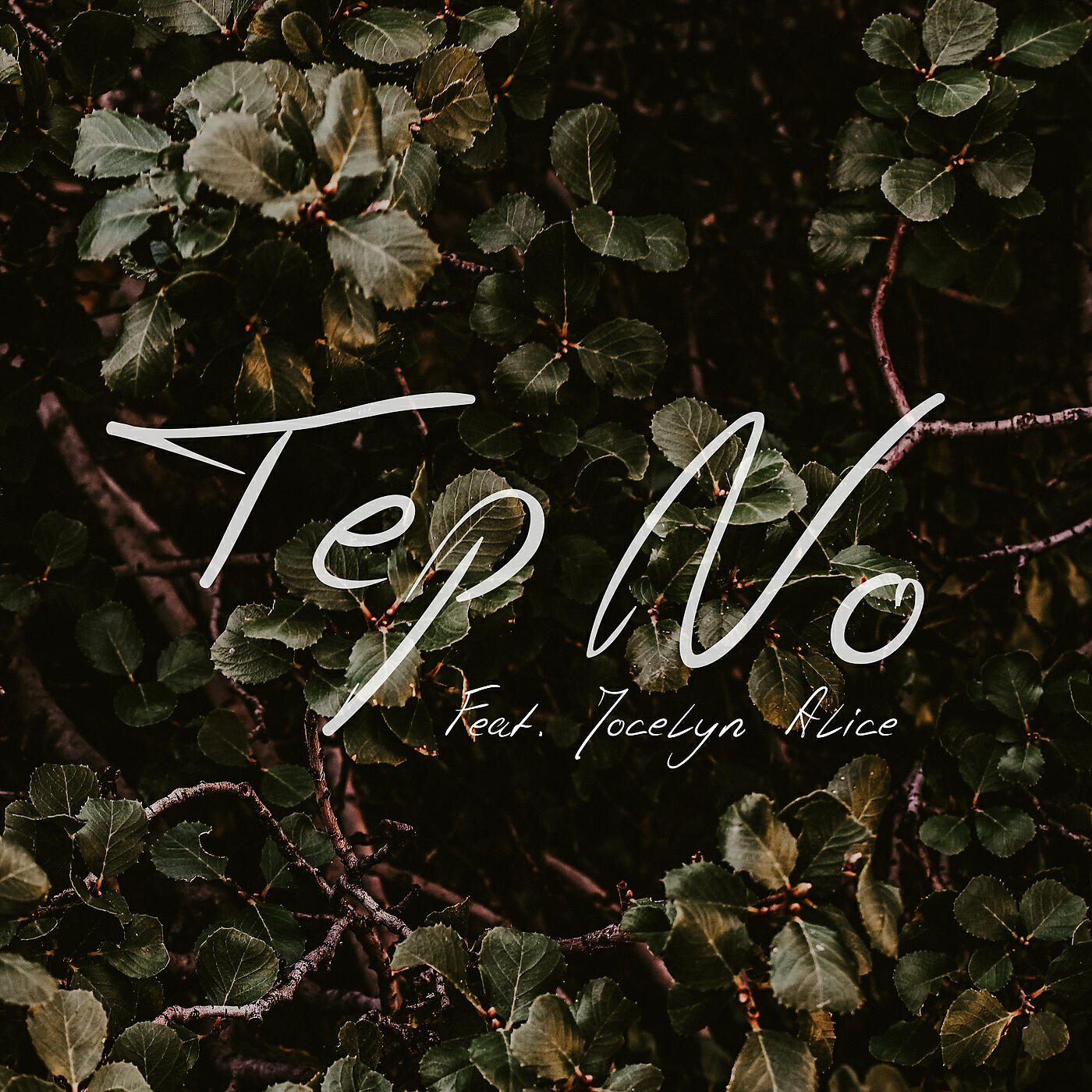 Tep No - Never Been Hurt Before