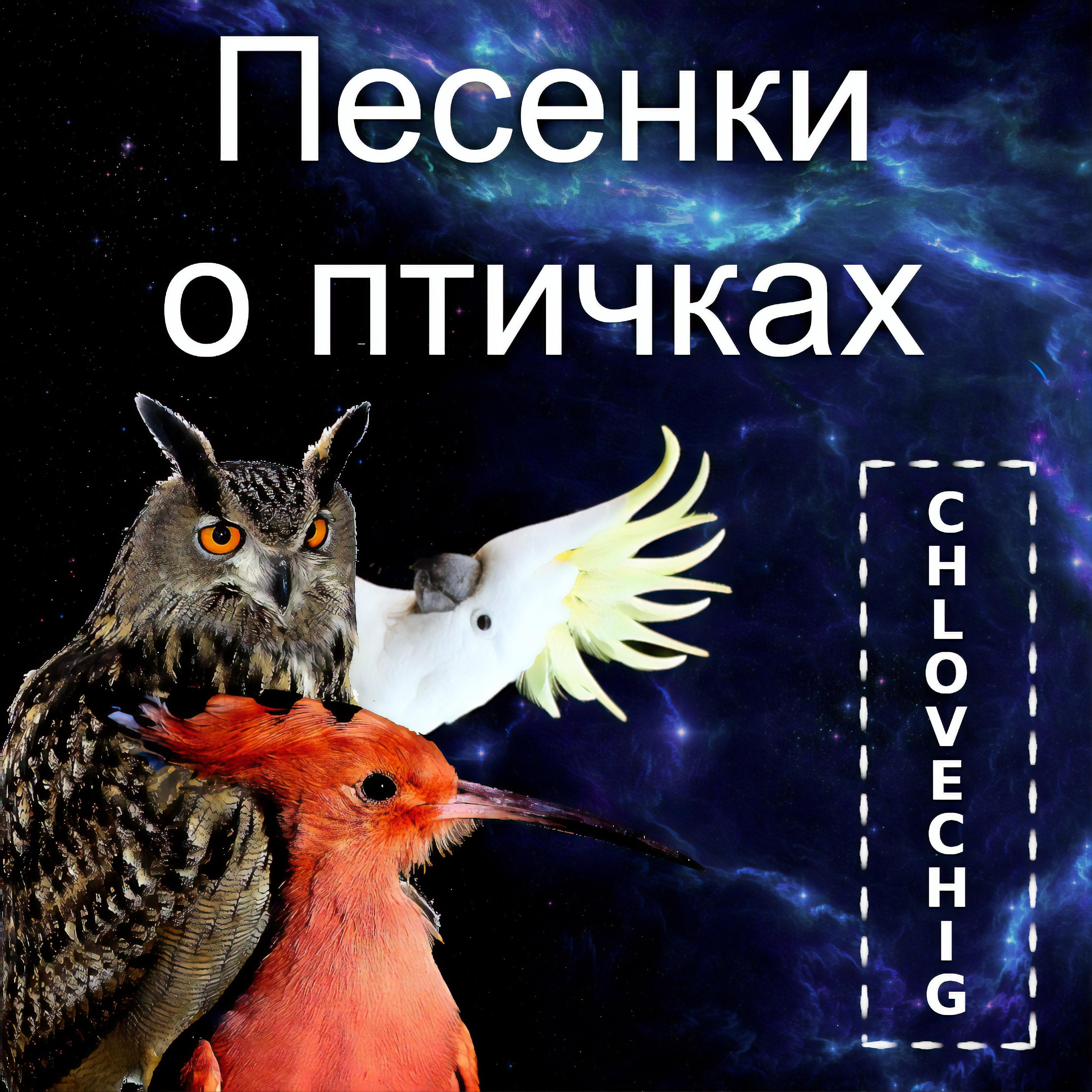 Постер альбома Песенки о птичках