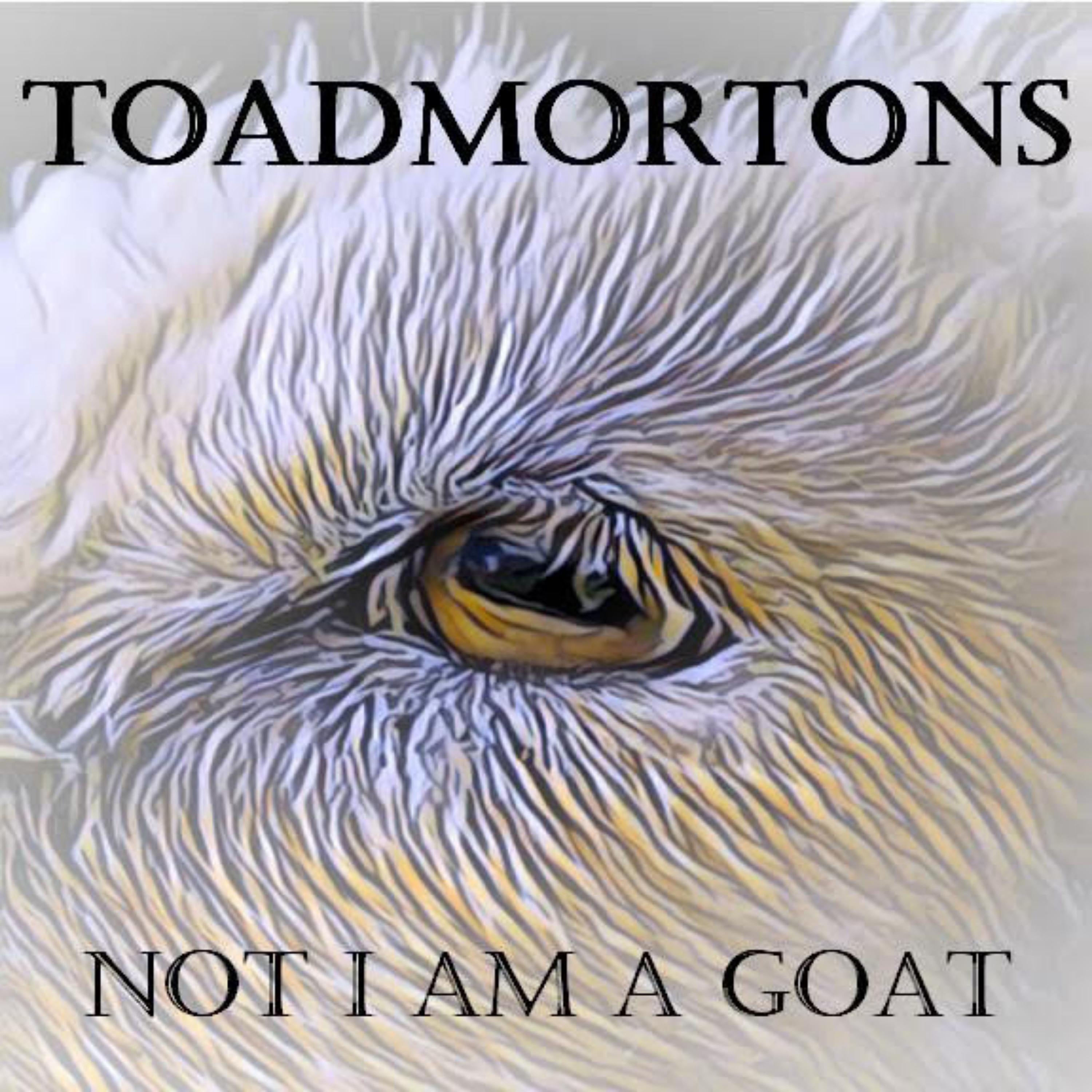 Постер альбома Not I Am a Goat