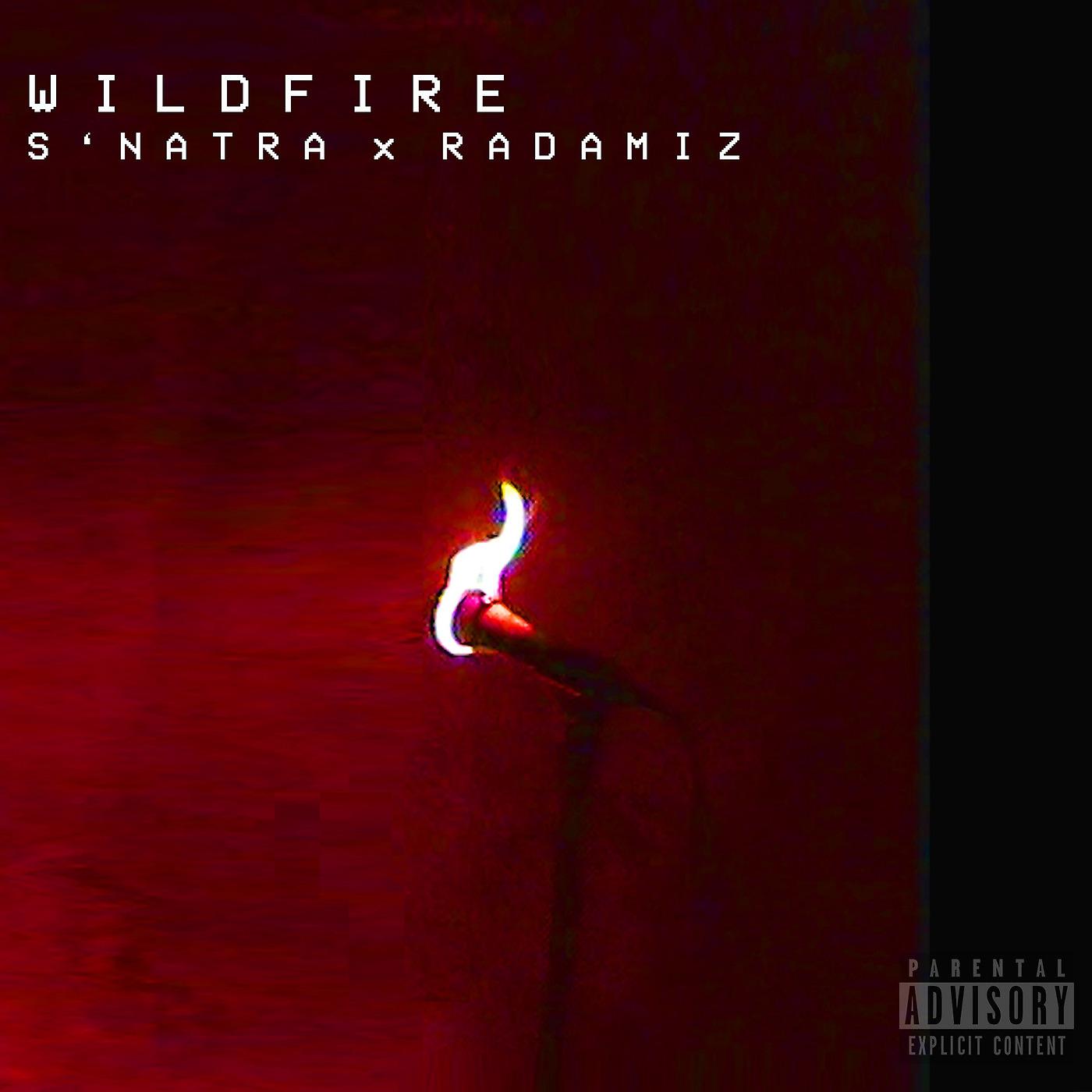 Постер альбома Wildfire (Freestyle)