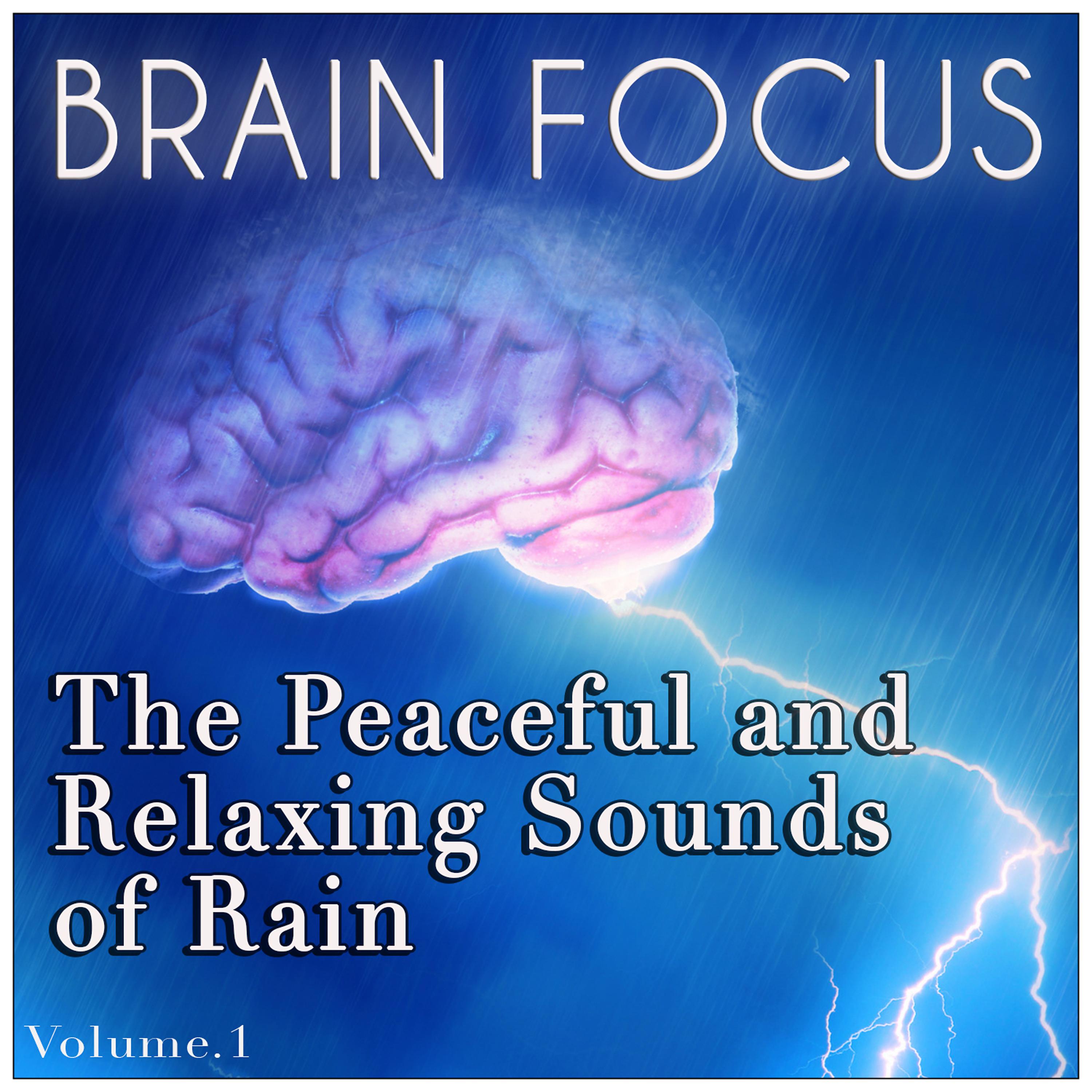 Постер альбома The Peaceful & Relaxing Sounds of Rain - Brain Focus