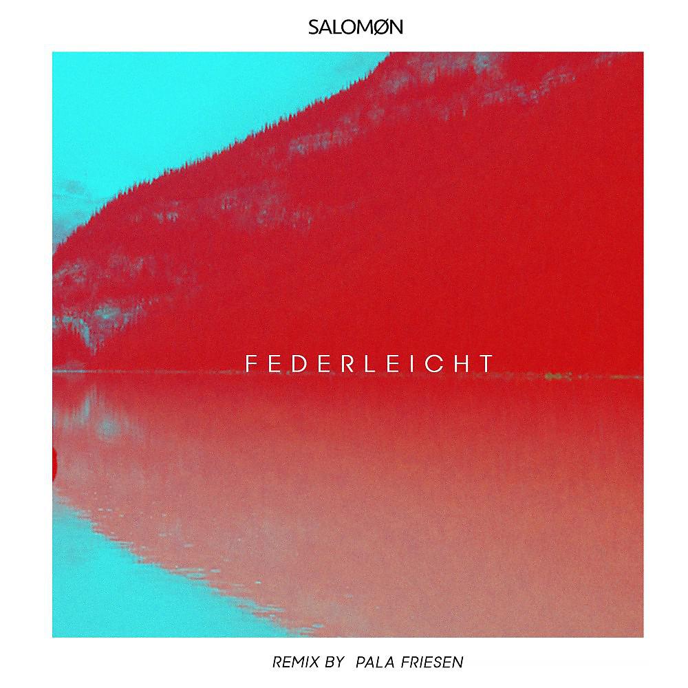 Постер альбома Federleicht (Remix)