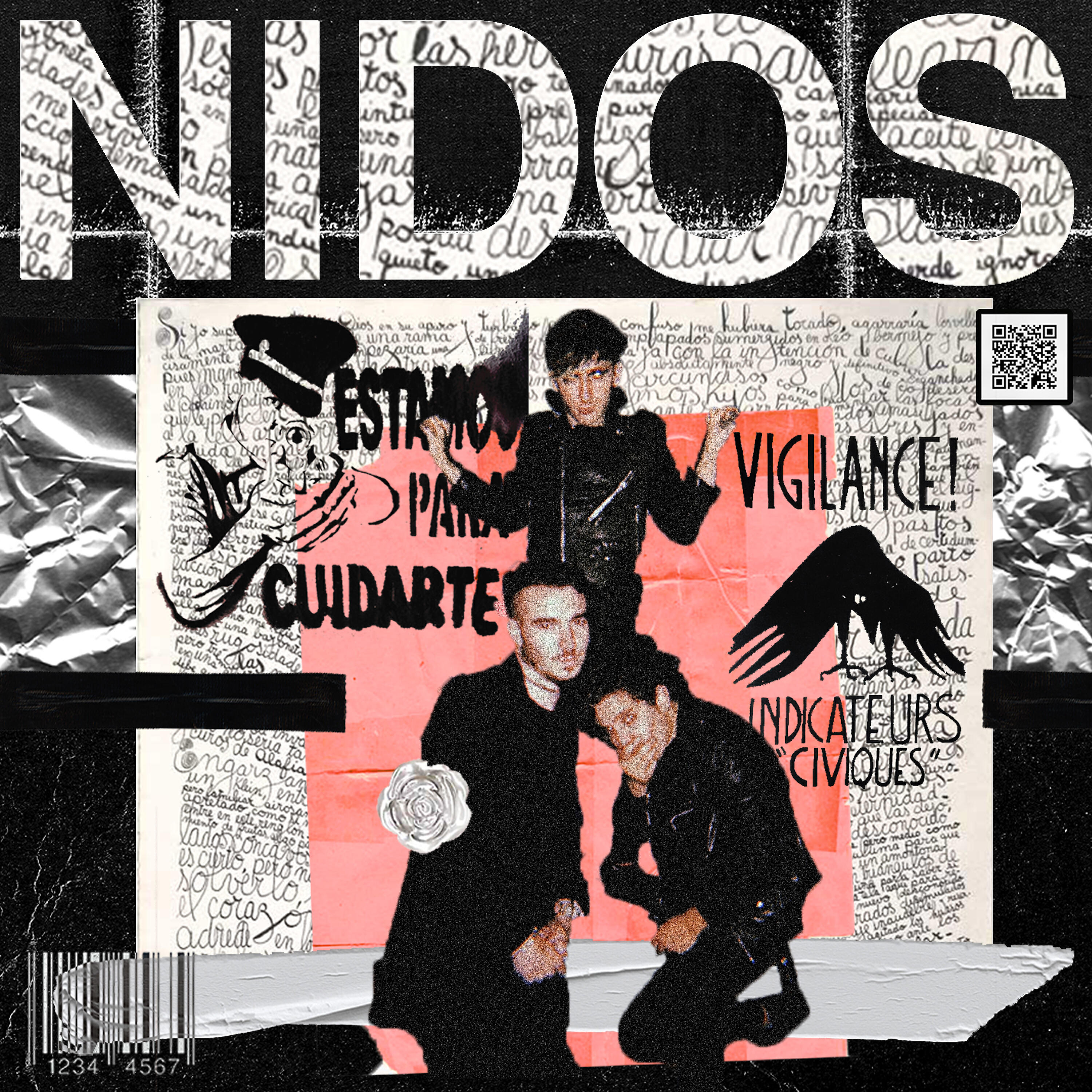 Nidos - REVISTA??