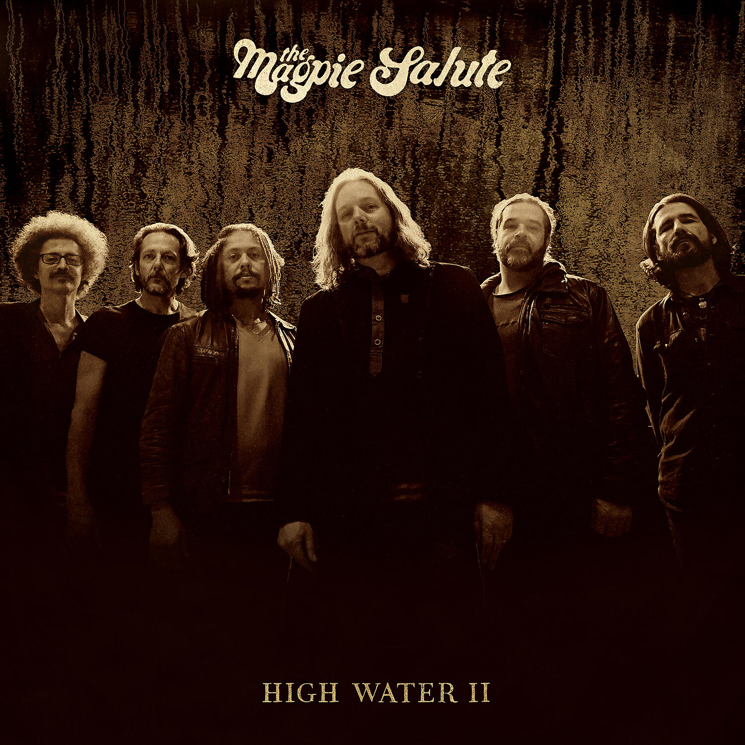 The Magpie Salute - In Here