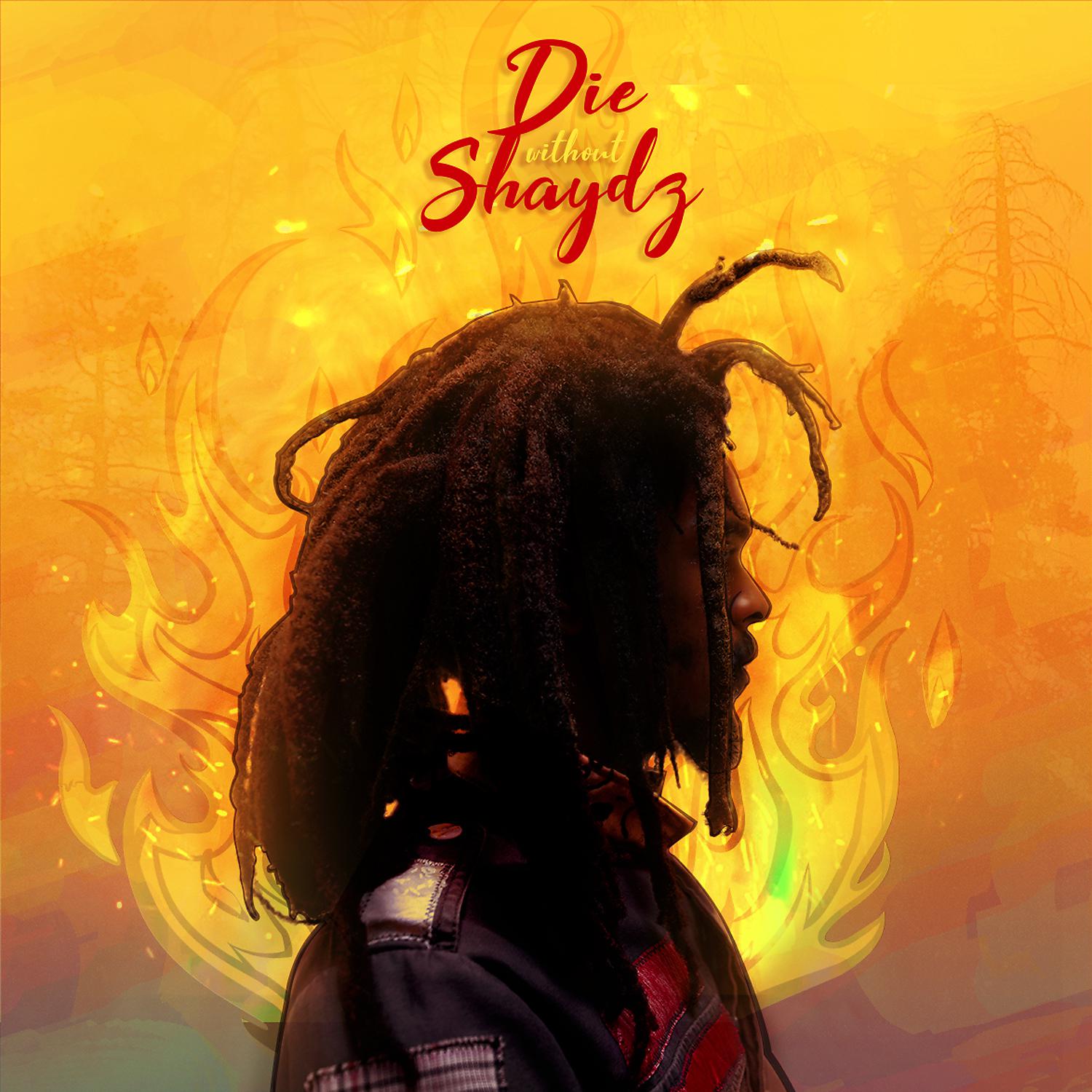 Постер альбома Die Without Shaydz