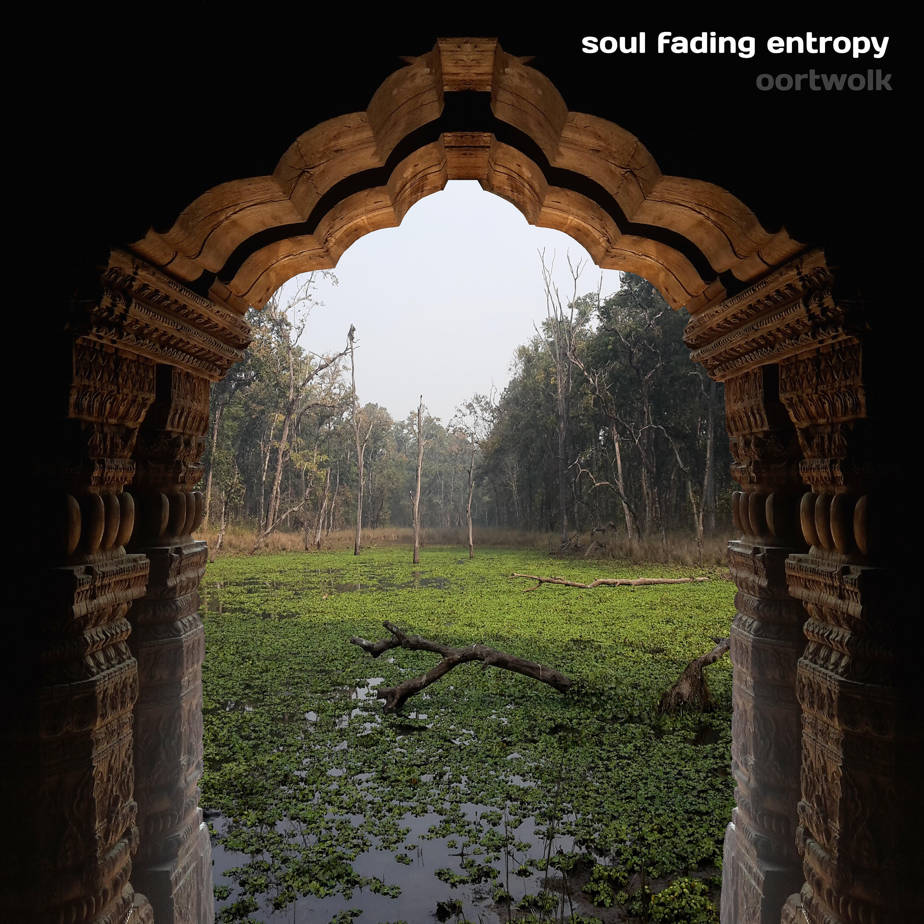 oortwolk - Soul Fading Entropy