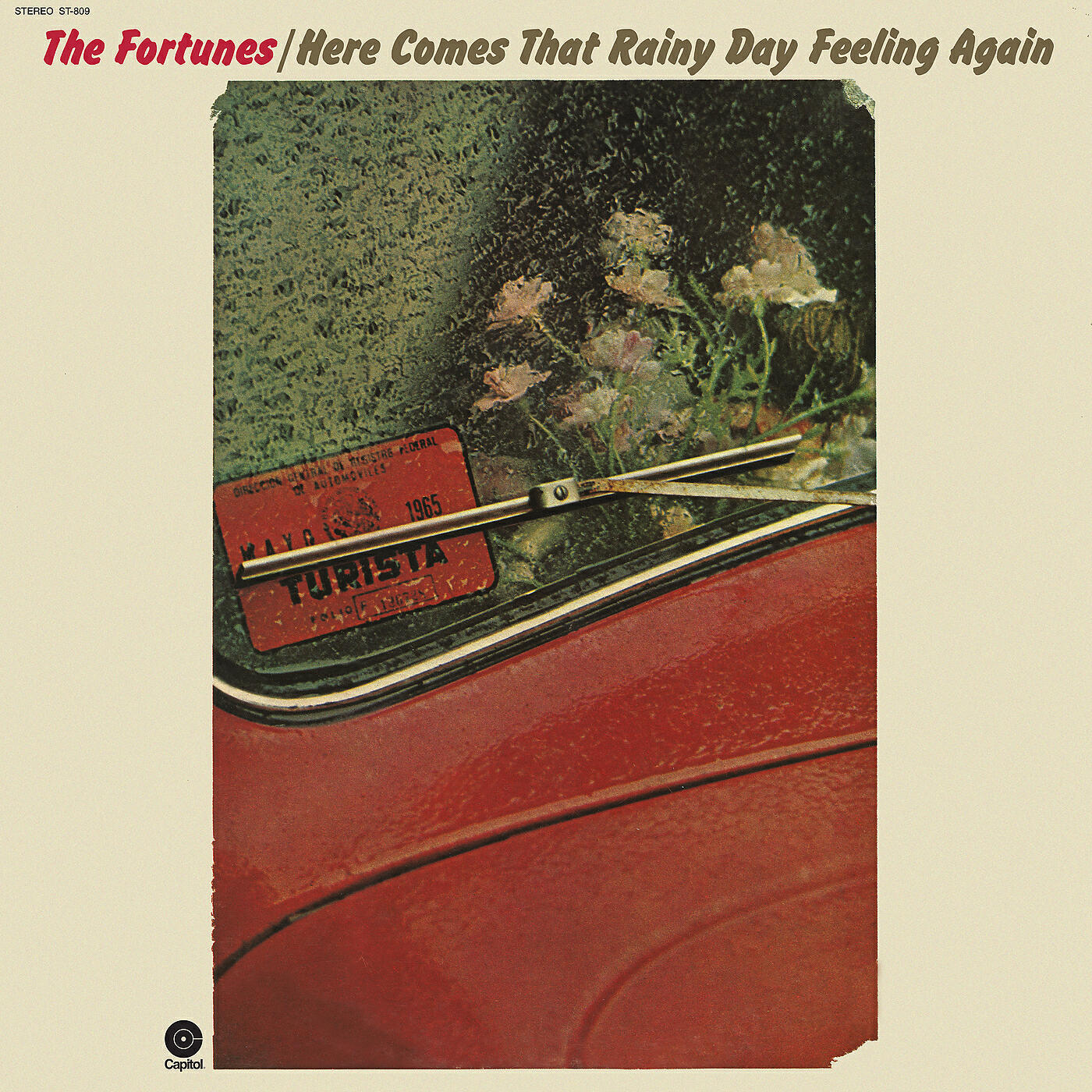 The Fortunes - The Night Started To Cry