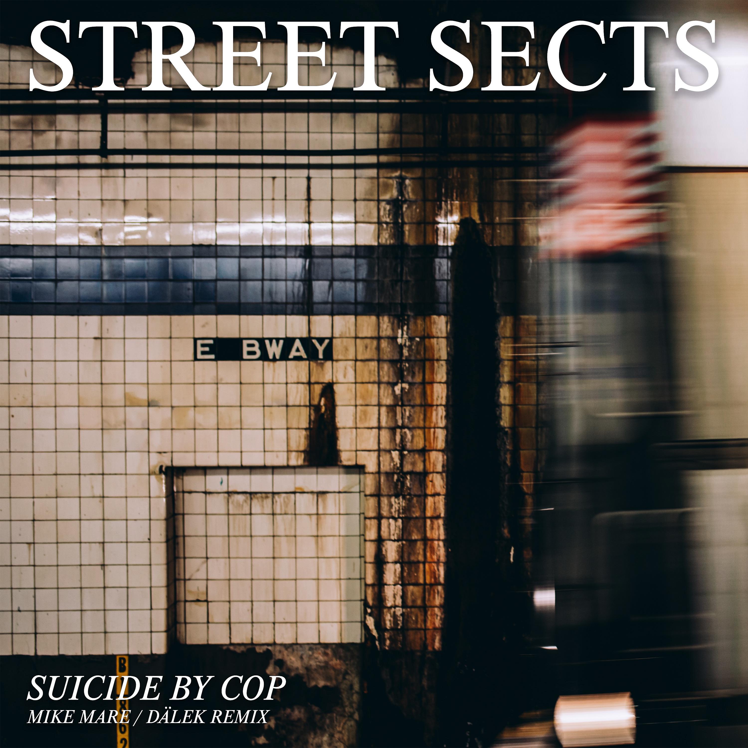 Постер альбома Suicide by Cop (Mike Mare / Dälek Remix)