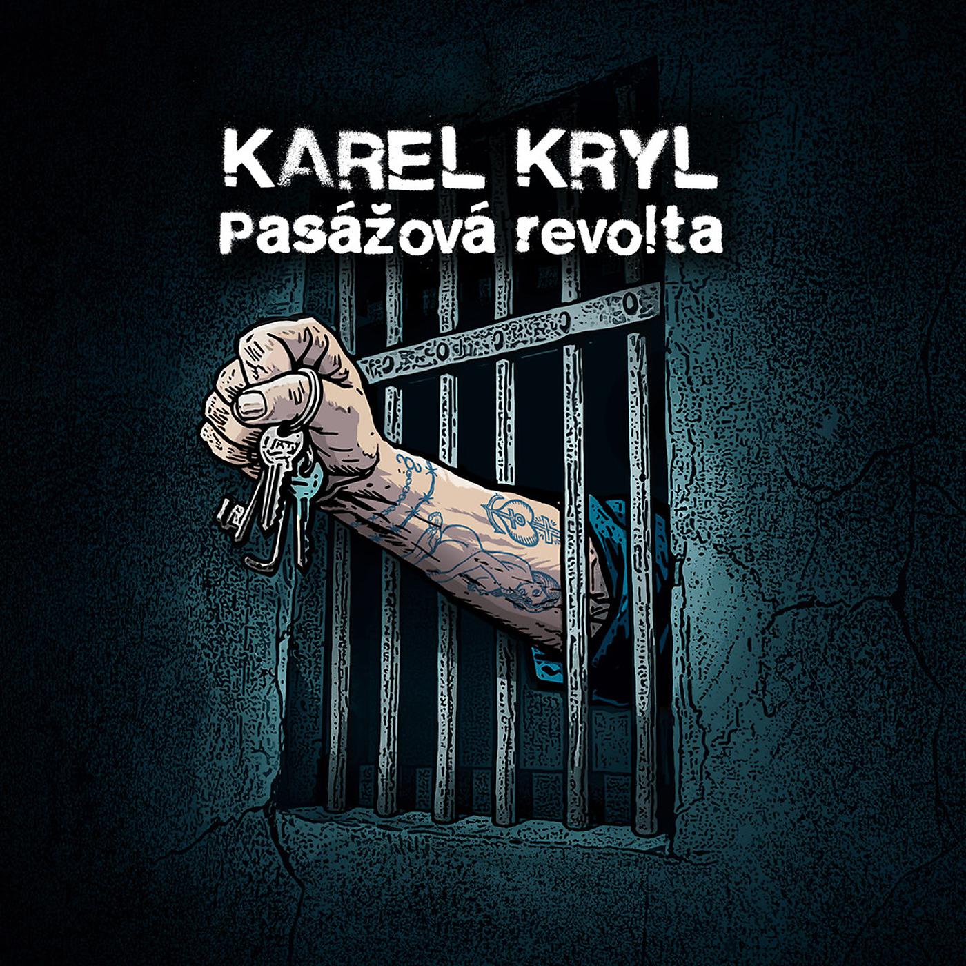 Постер альбома Pasážová revolta