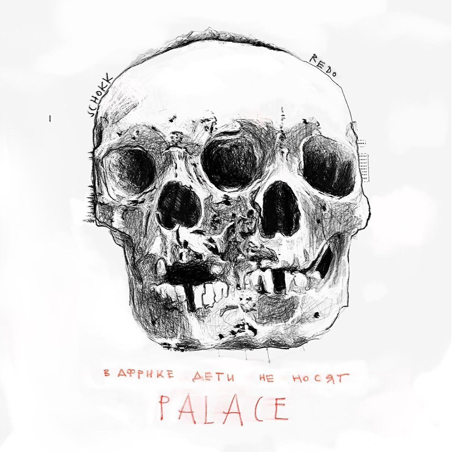 SCHOKK - В Африке дети не носят PALACE