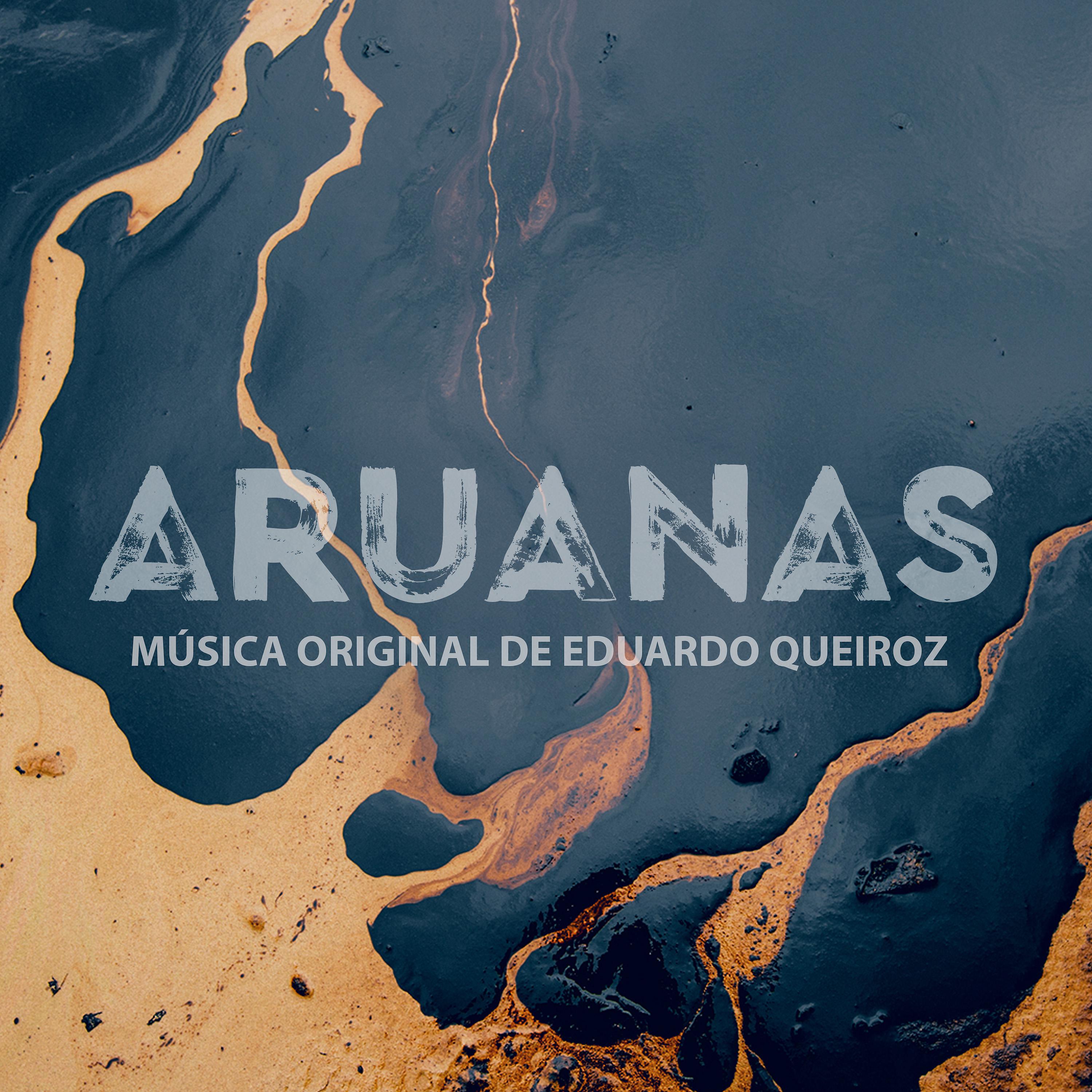 Постер альбома Aruanas - Música Original de Eduardo Queiroz