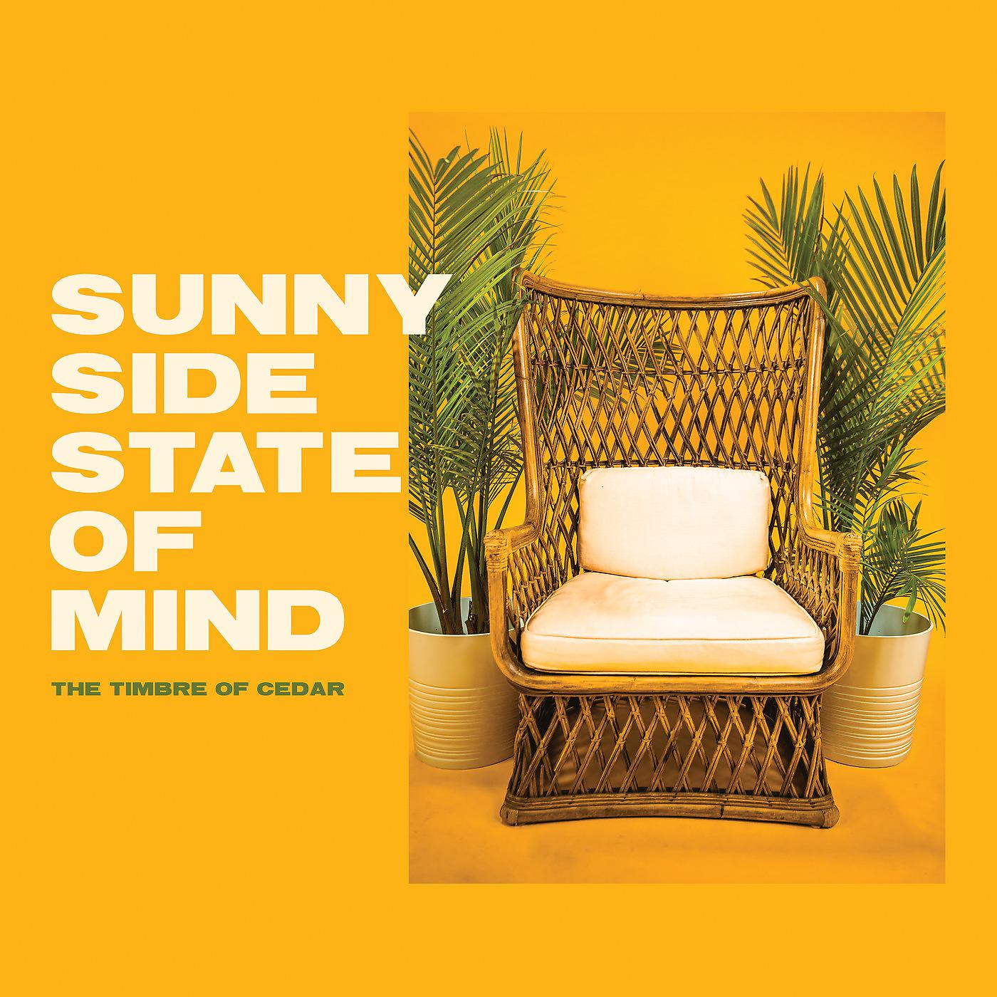 Постер альбома Sunny Side State of Mind