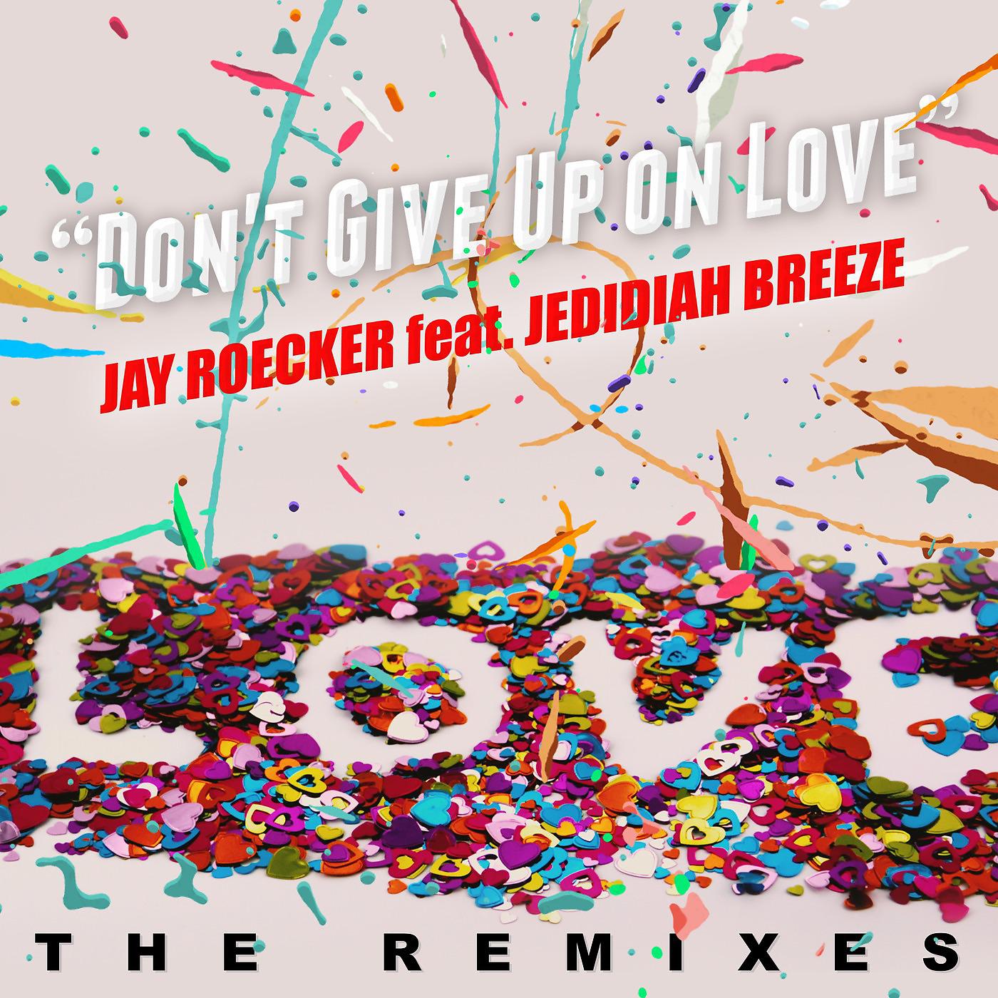 Постер альбома Don't Give up on Love (The Mega Remixes)