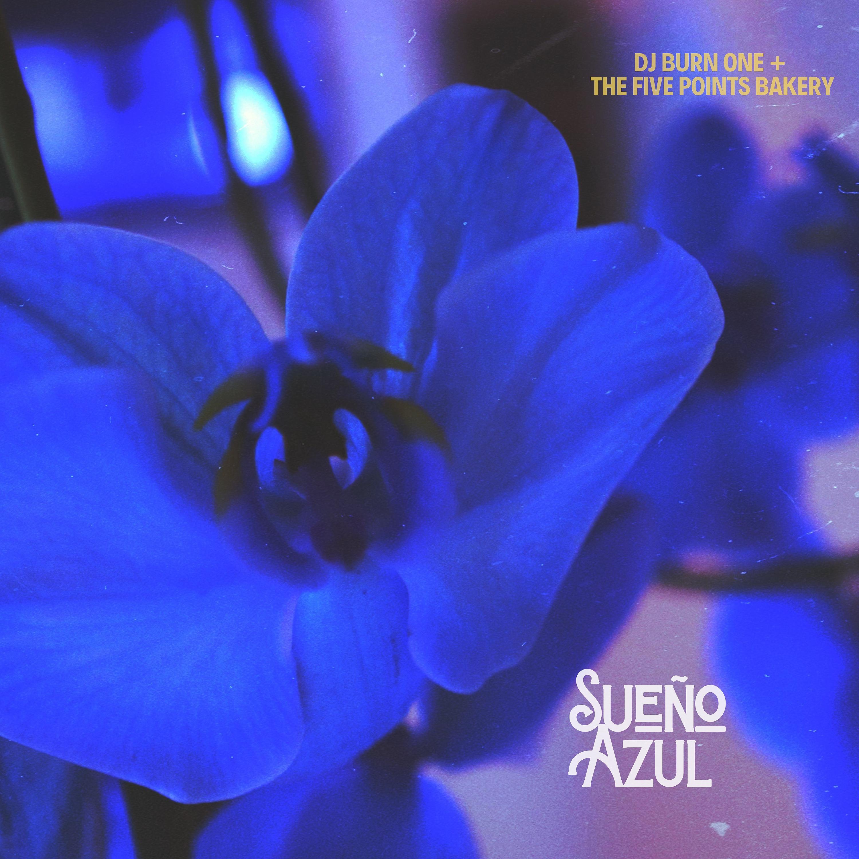 Постер альбома Sueño Azul