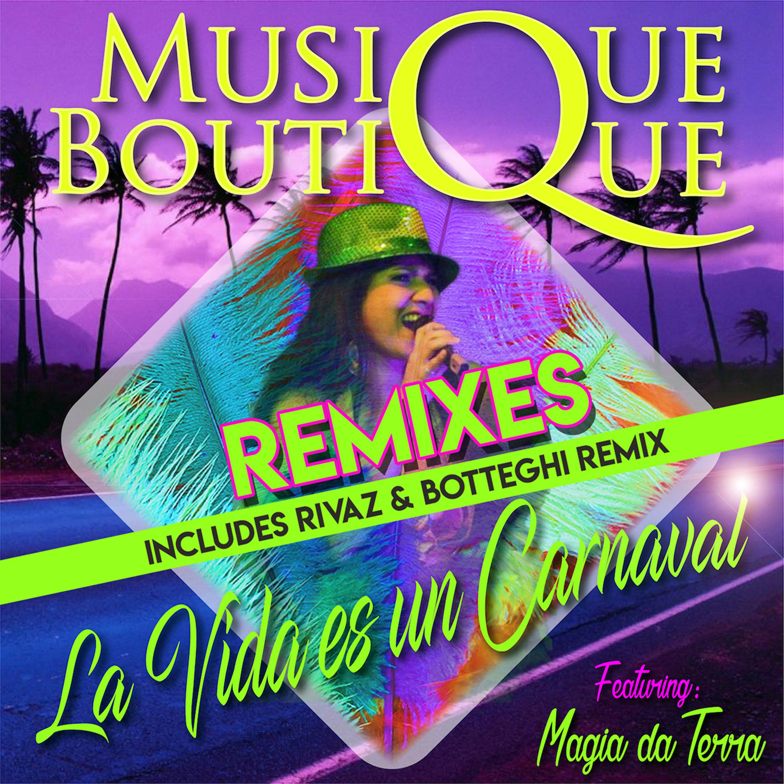 Постер альбома La Vida Es Un Carnaval Remixes
