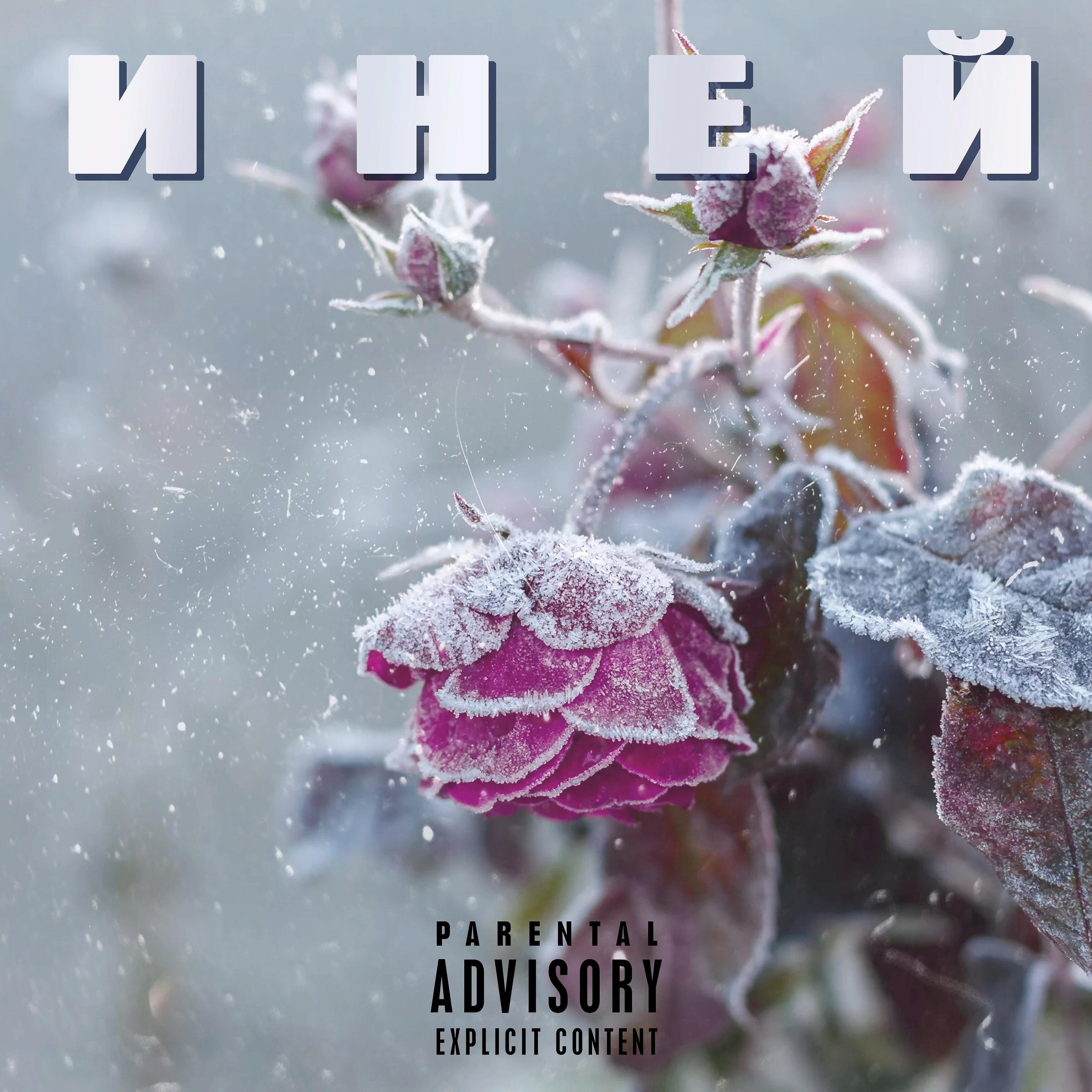 Nrk - Иней