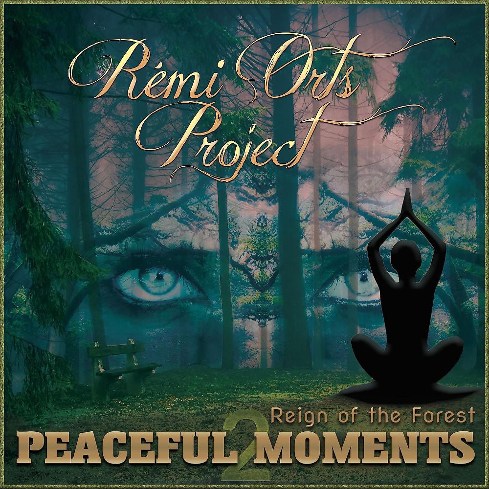 Постер альбома Peaceful Moments (Reign of the Forest)