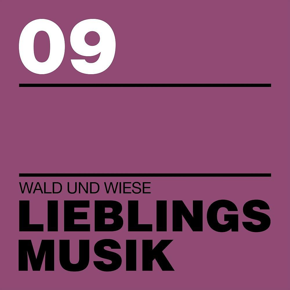 Постер альбома Lieblingsmusik 09