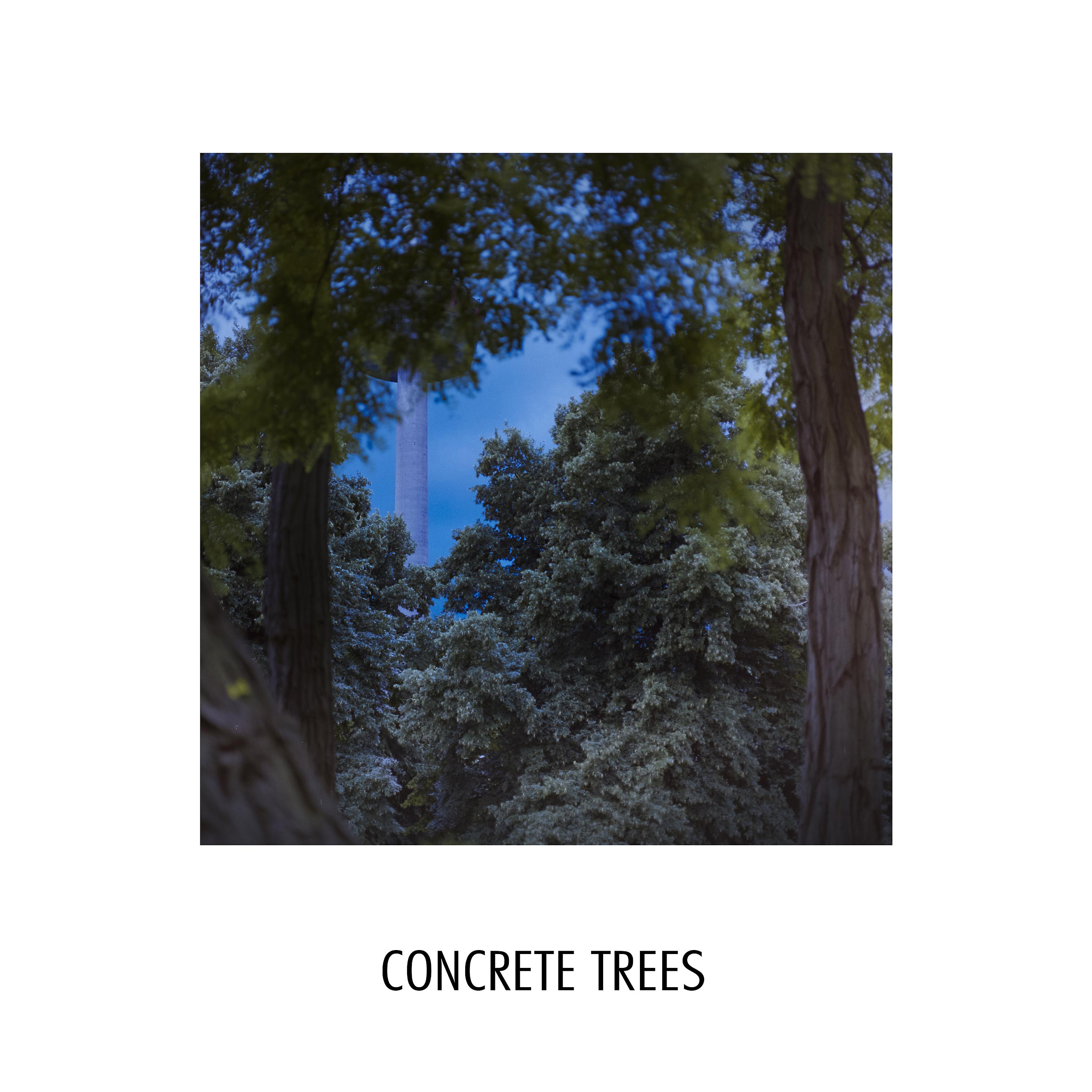 Постер альбома Concrete Trees