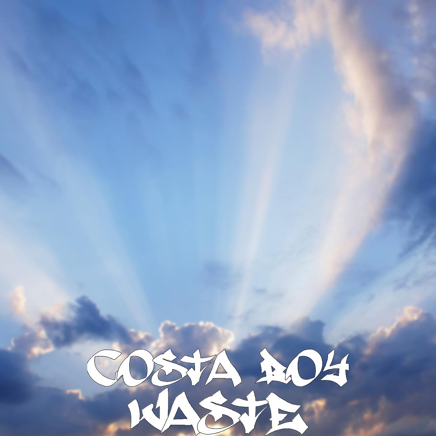 Постер альбома Waste