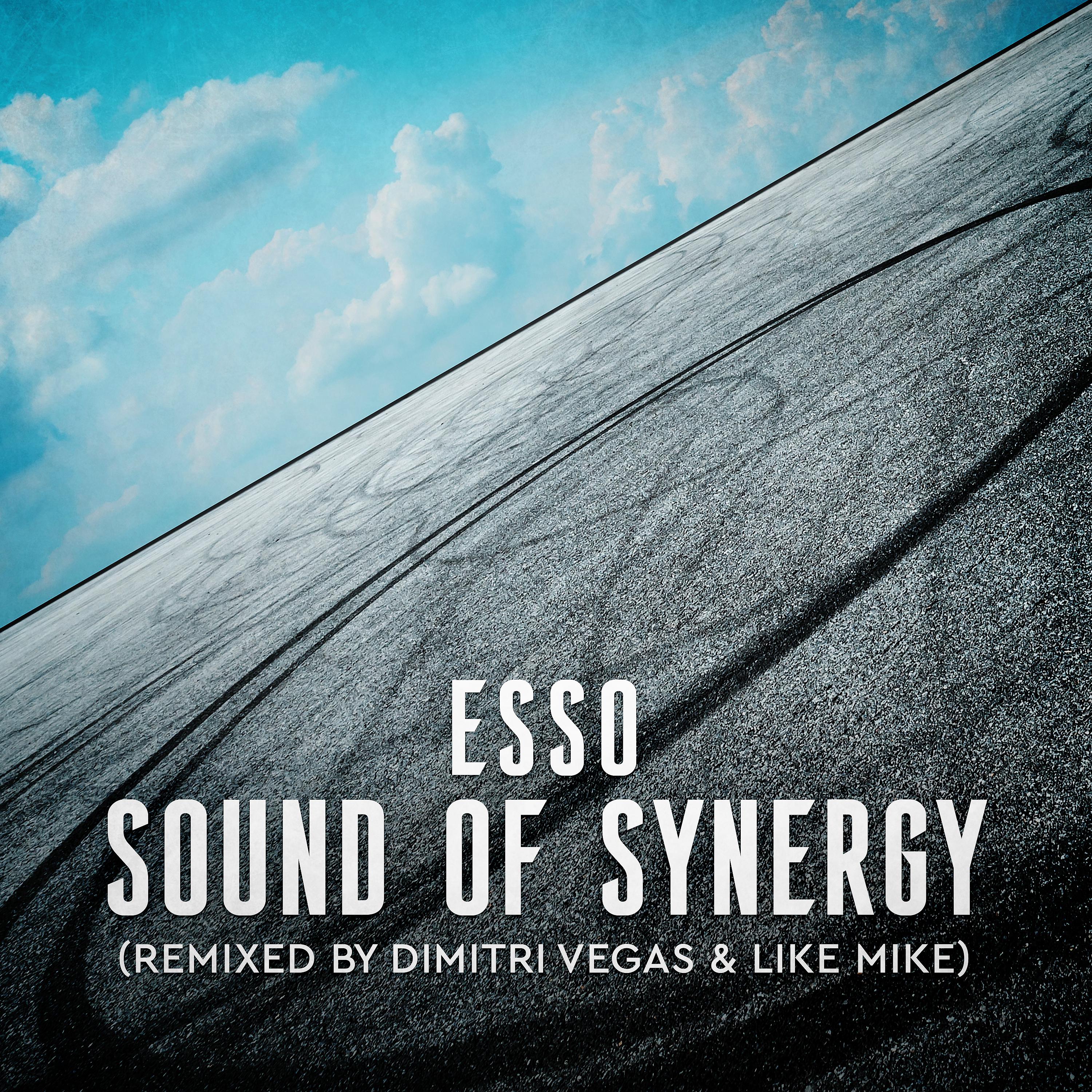 Постер альбома Sound of Synergy (Mixed by Dimitri Vegas & Like Mike)