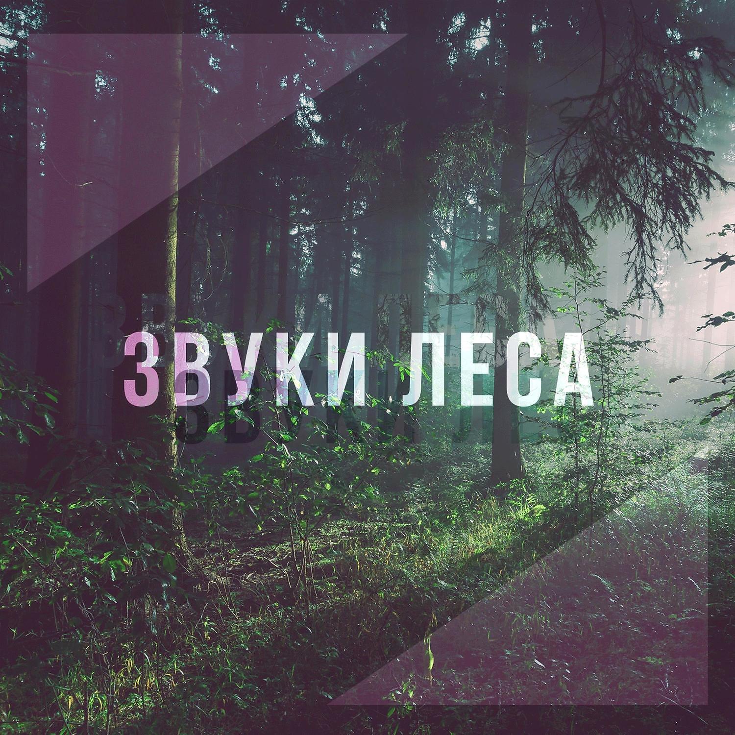Хорошие звуки для ума и тела - Горный ручей